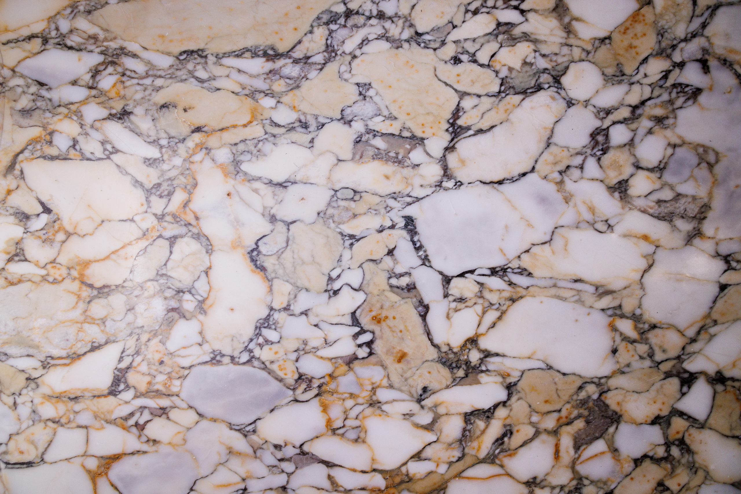 Антиквариат. Фотограф в Москве Максим Быков