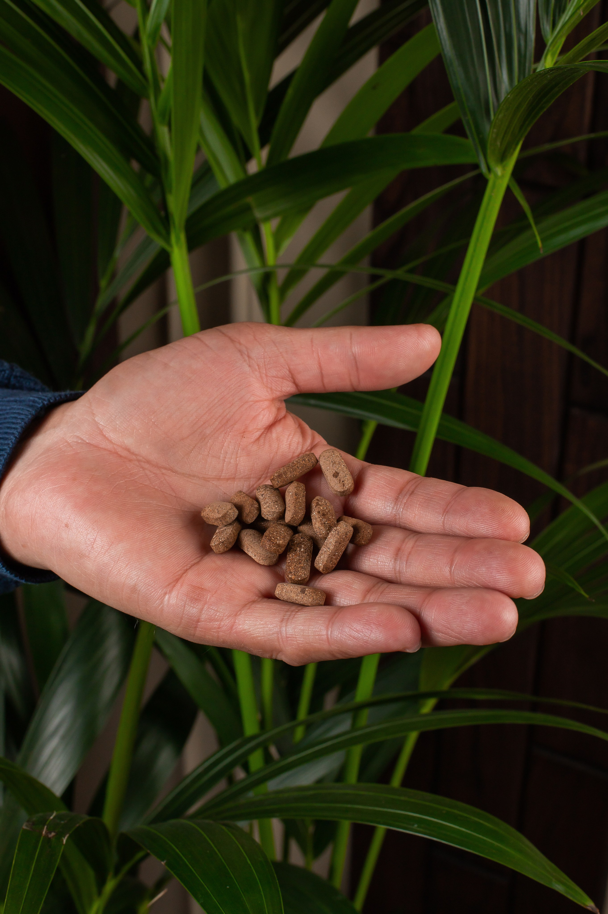 Съёмка предметная. Фотограф в Астане