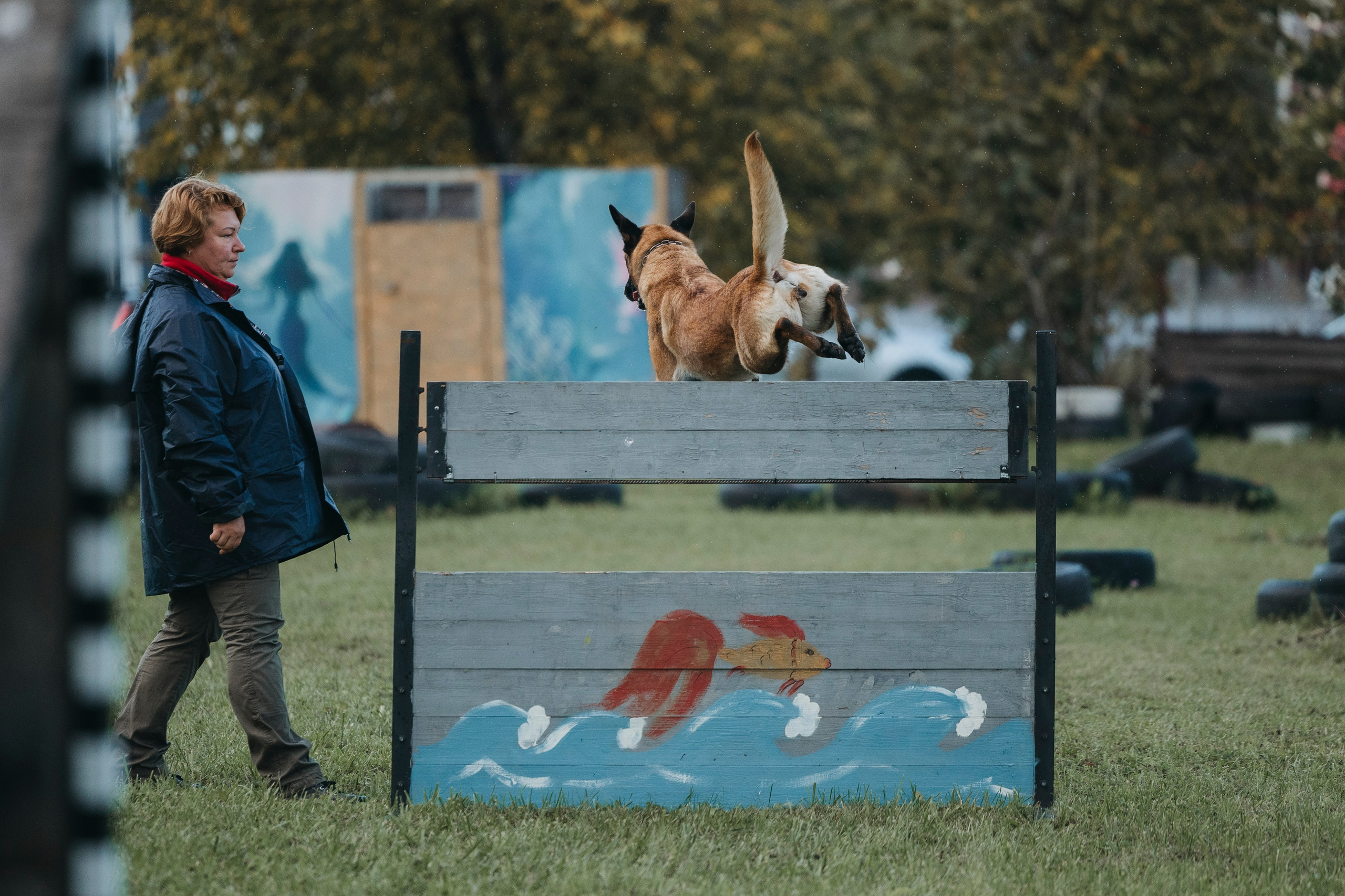 Испытания по мондьорингу г. Пушкин 29.09.2024. Фотограф-анималист Анна Маринич