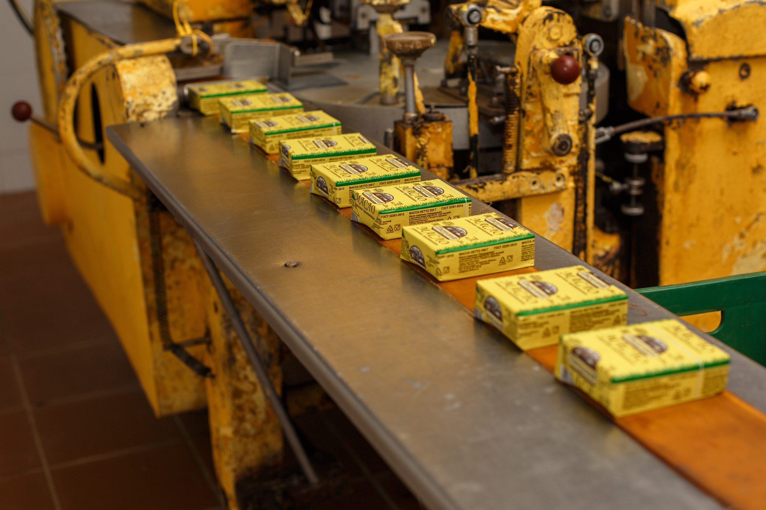 Шатурский Агропромышленный комбинат. Деловая и Бизнес съемка в  Москве Инесса Грушко