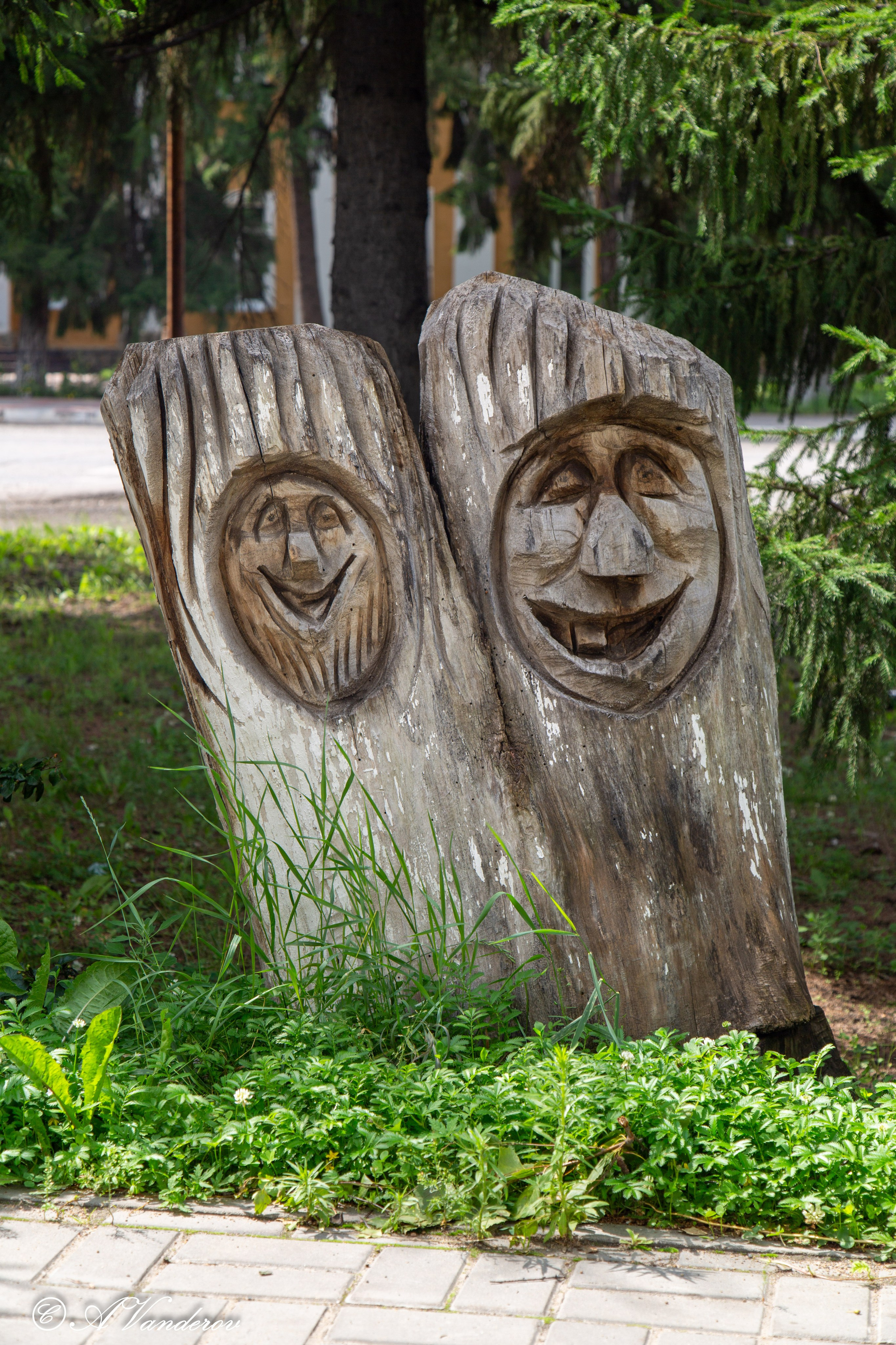 Калачинск 07.07.2024. Фотограф Омск | Александр Вандеров