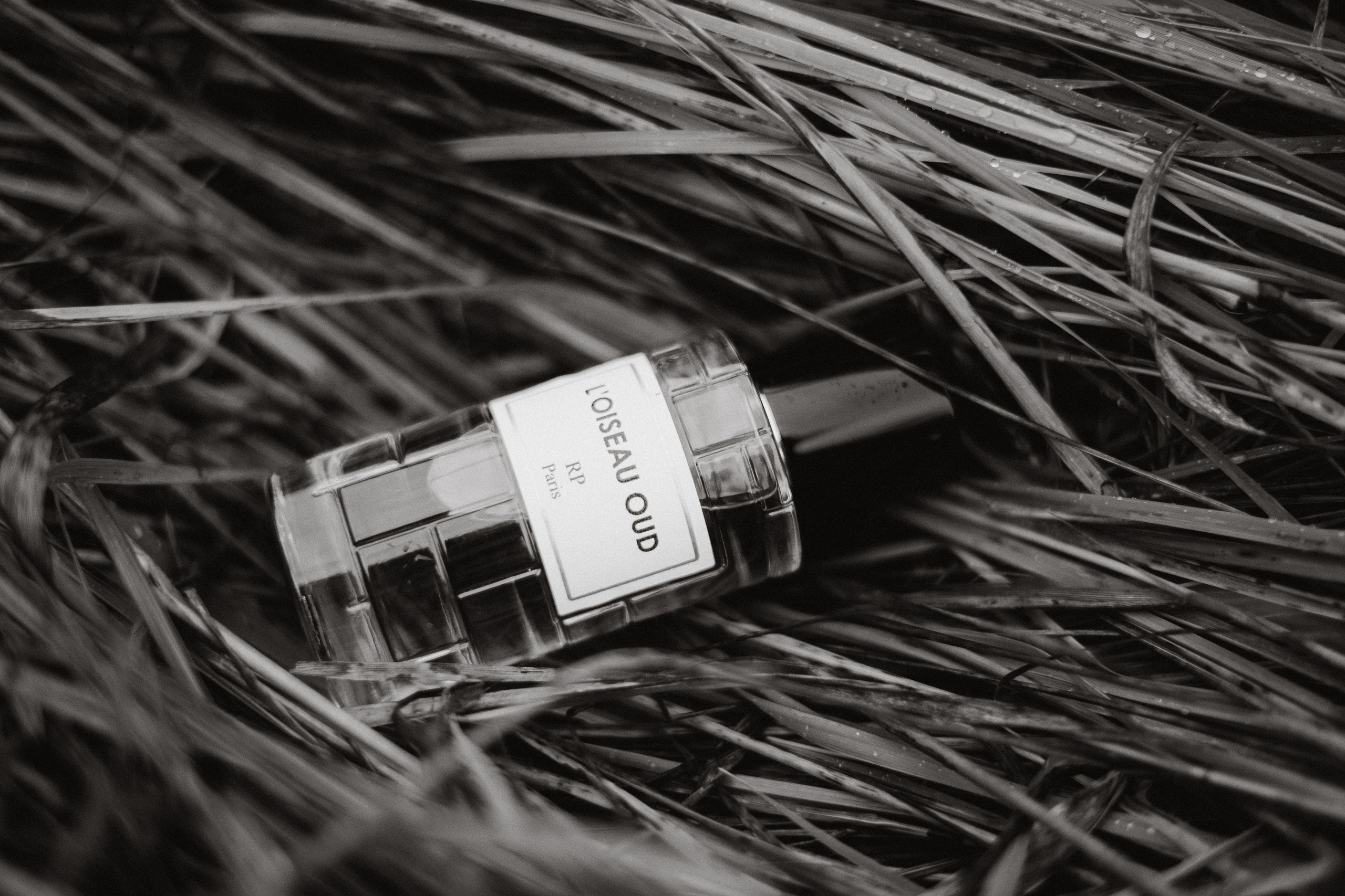 Съемка для брендов. Фотограф в Москве (готова приехать к вам в город)