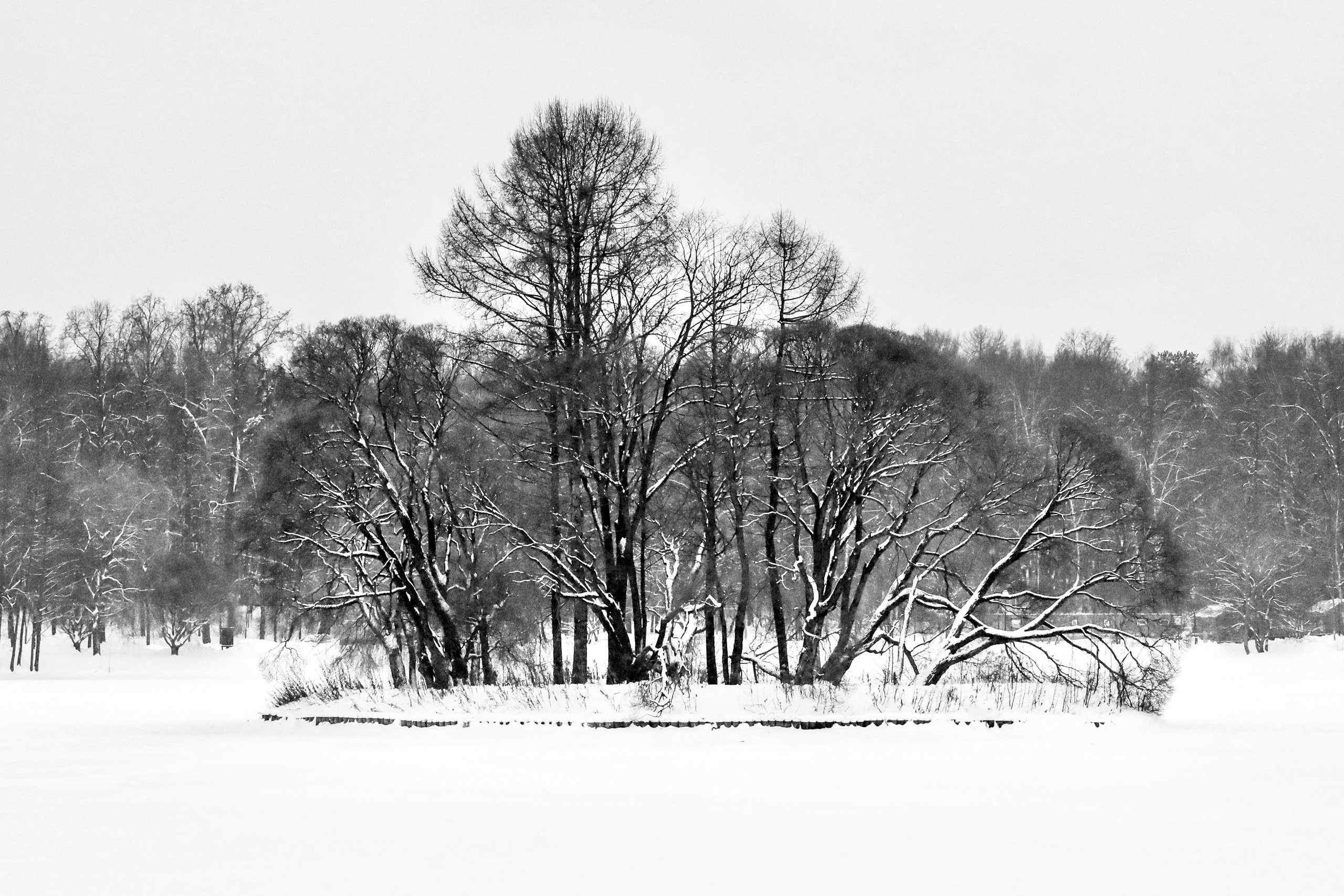 Чёрно-белая зима 25-26. Фотосессии и репортаж — Фотограф в Москве — Рина Серёгина