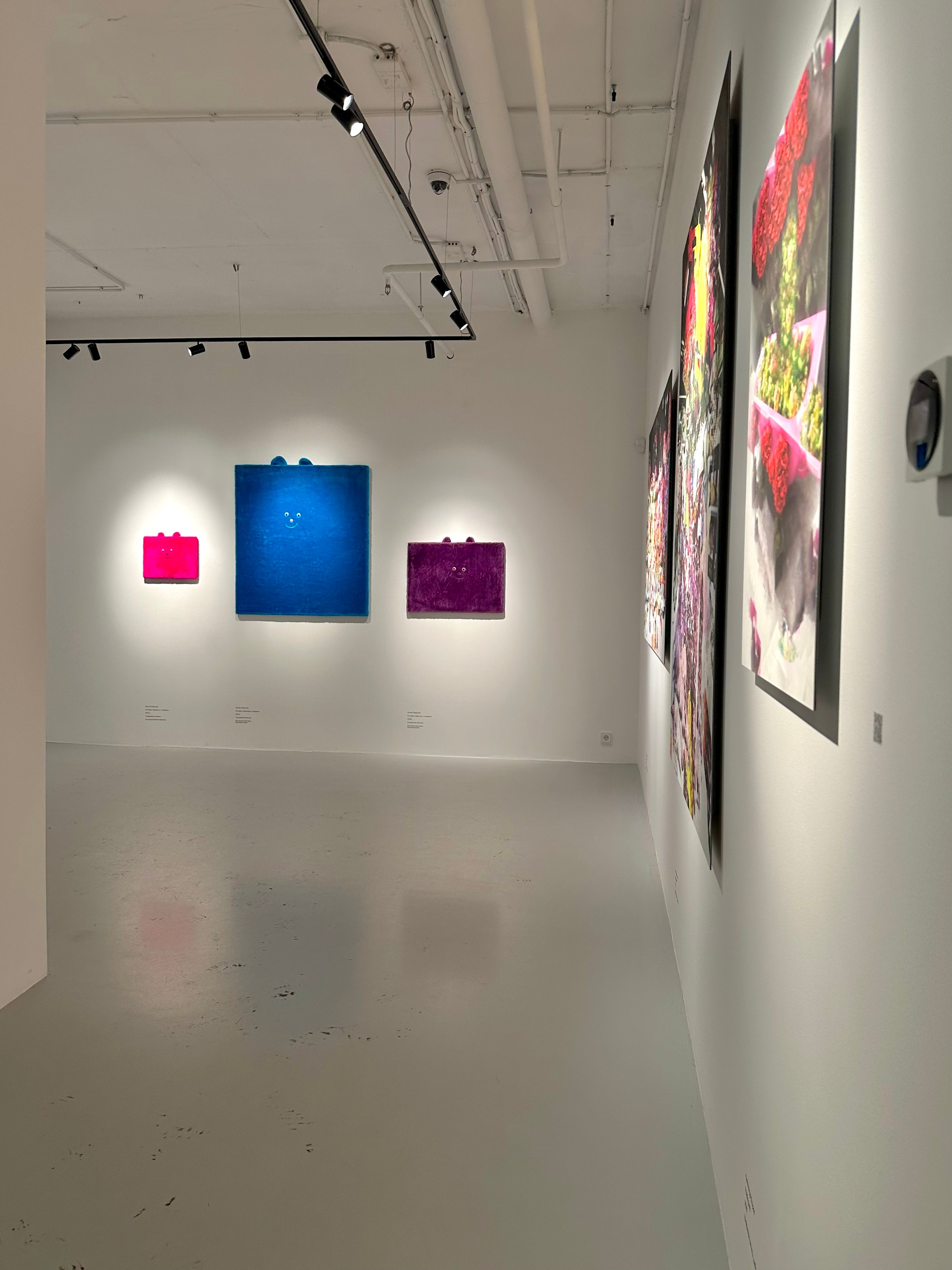 Выставка Чересчур. Фотосессии и репортаж — Фотограф в Москве — Рина Серёгина