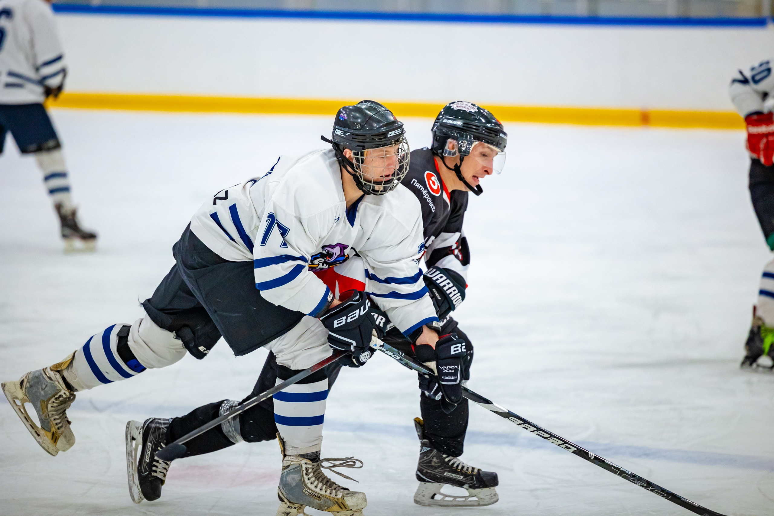 ХК Распадские Барсы. Фотограф Князев Сергей