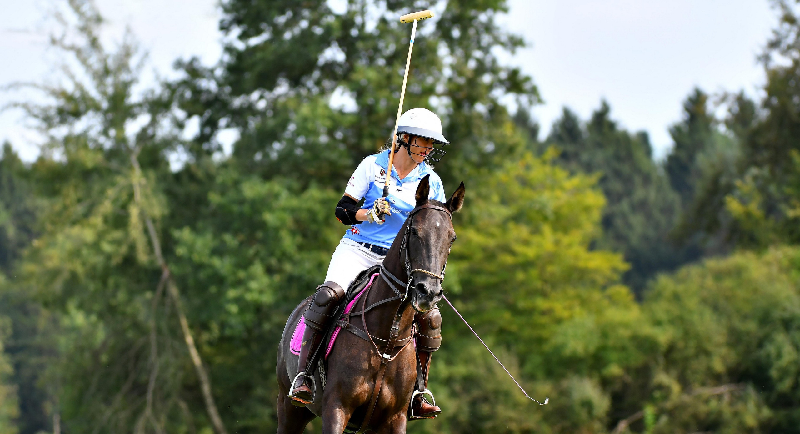 Polo art photos. Art photos of horses — ARTUR BABOEV | Photographer