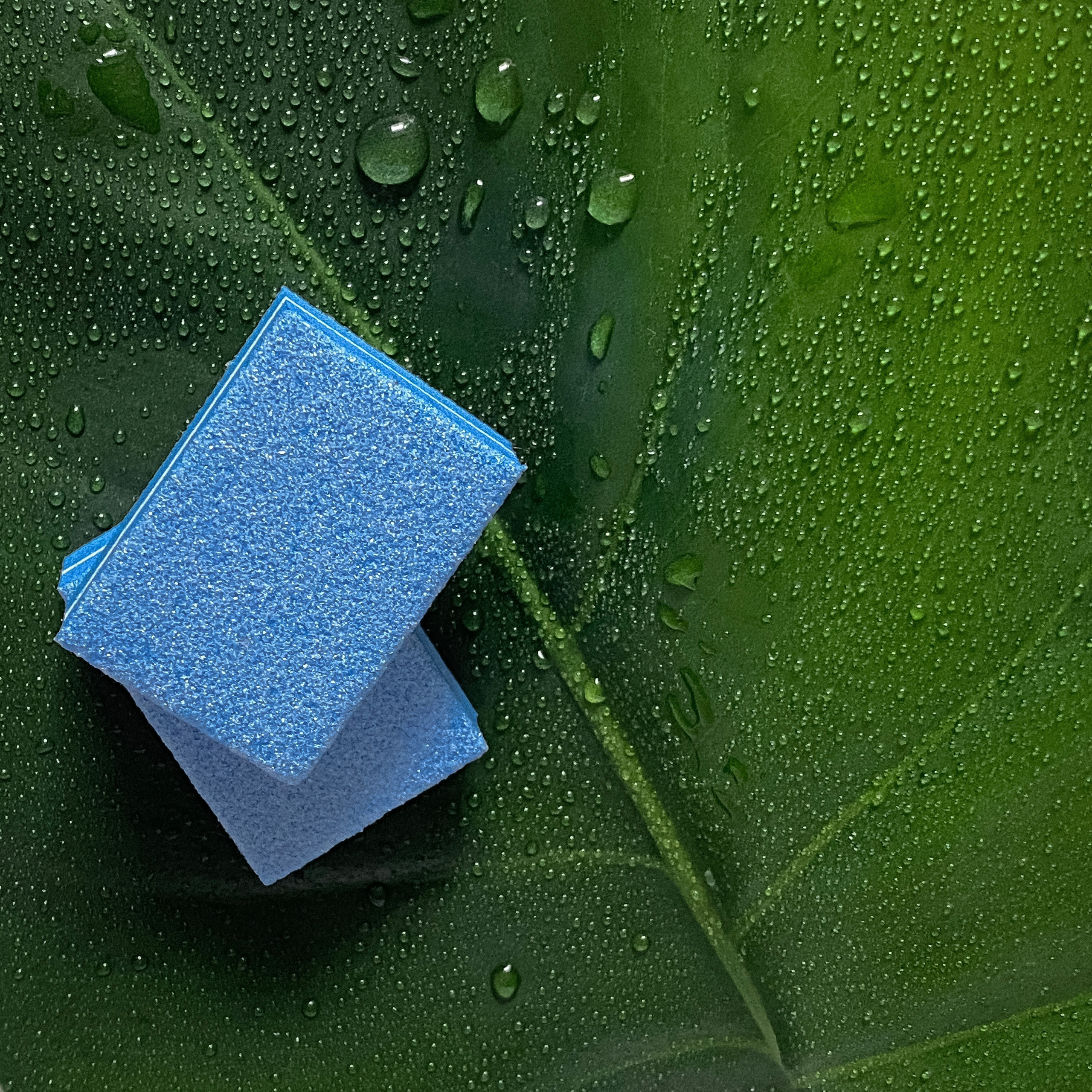 Наталия, мастер маникюра. Фотограф в Минске Света Григорьева