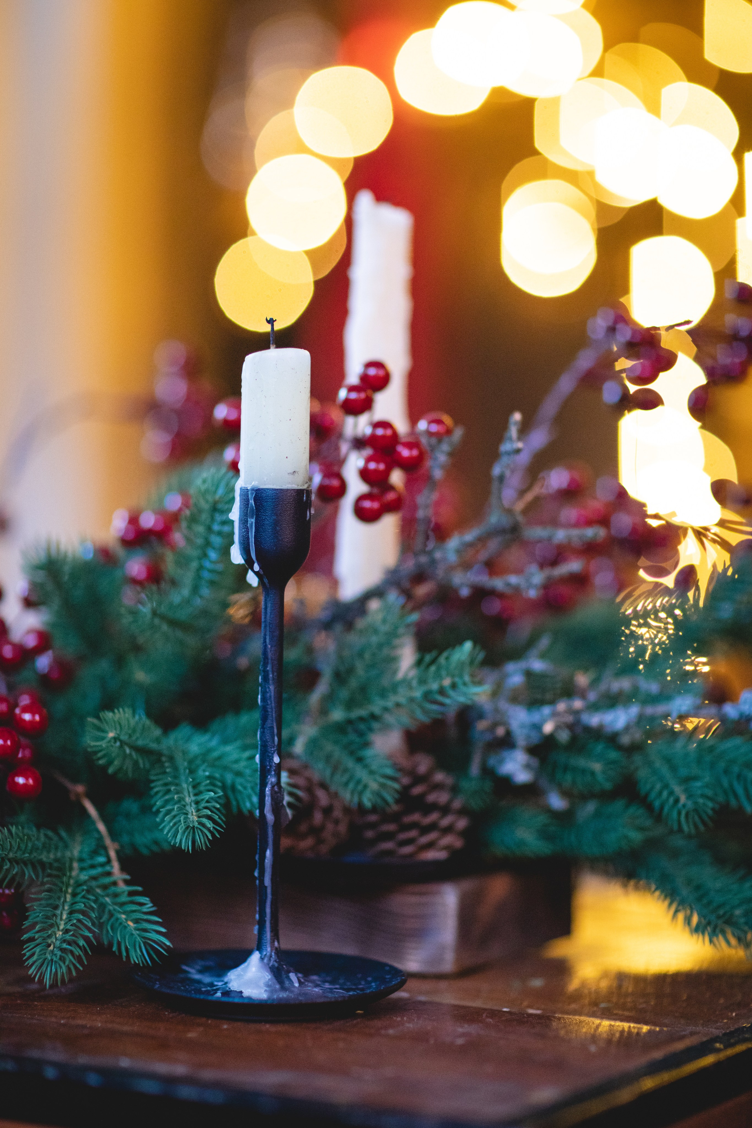 Домик в лесу. Семейный фотограф в Москве Анастасия Гурьянова