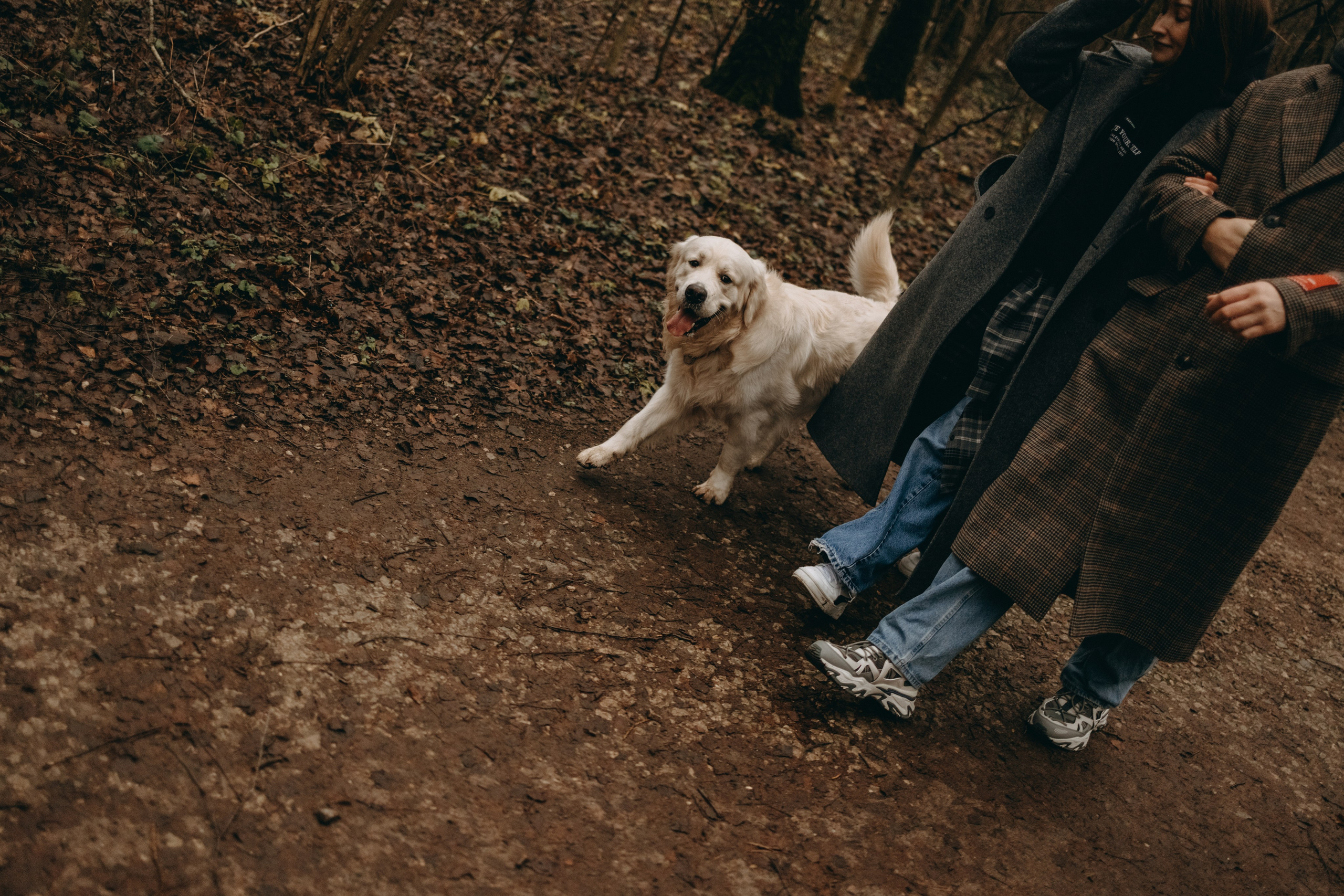 Лаки и его семья. Фотограф — Анималист | Санкт-Петербург