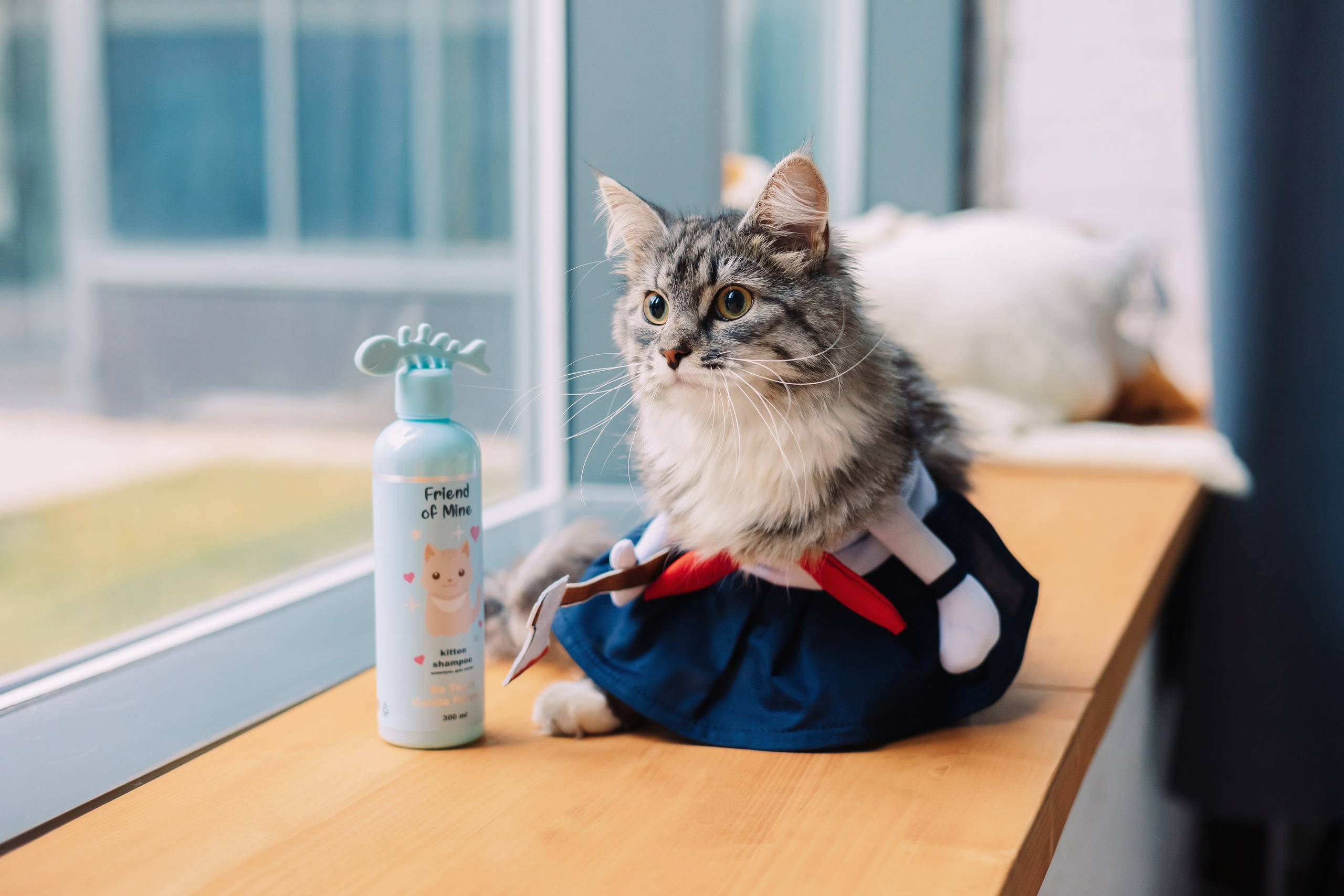 Магазин Friend of mine. Фотограф-анималист Елена Радченко, Москва