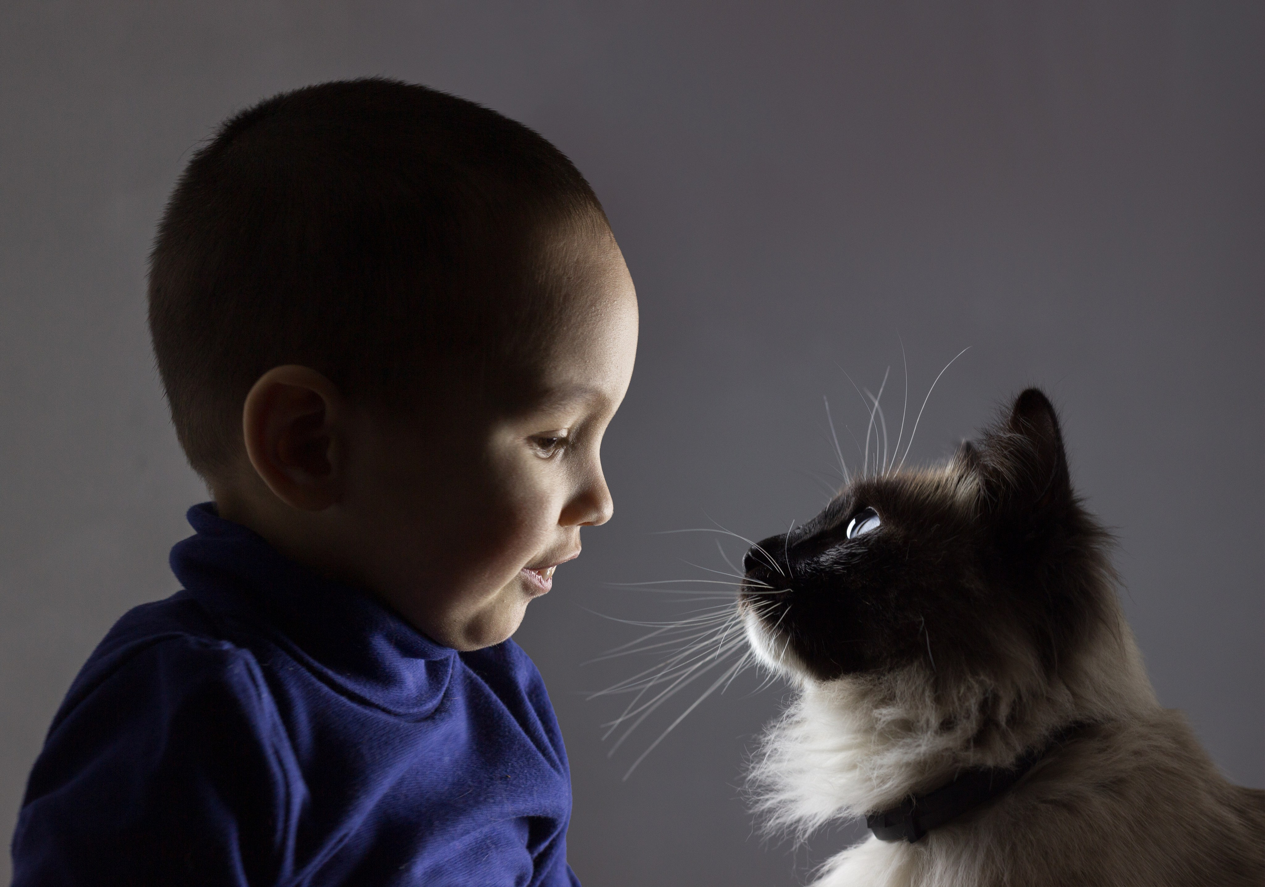 Сергей и Наталья. Фотограф Юлия Левандовская, п.Ясногорск