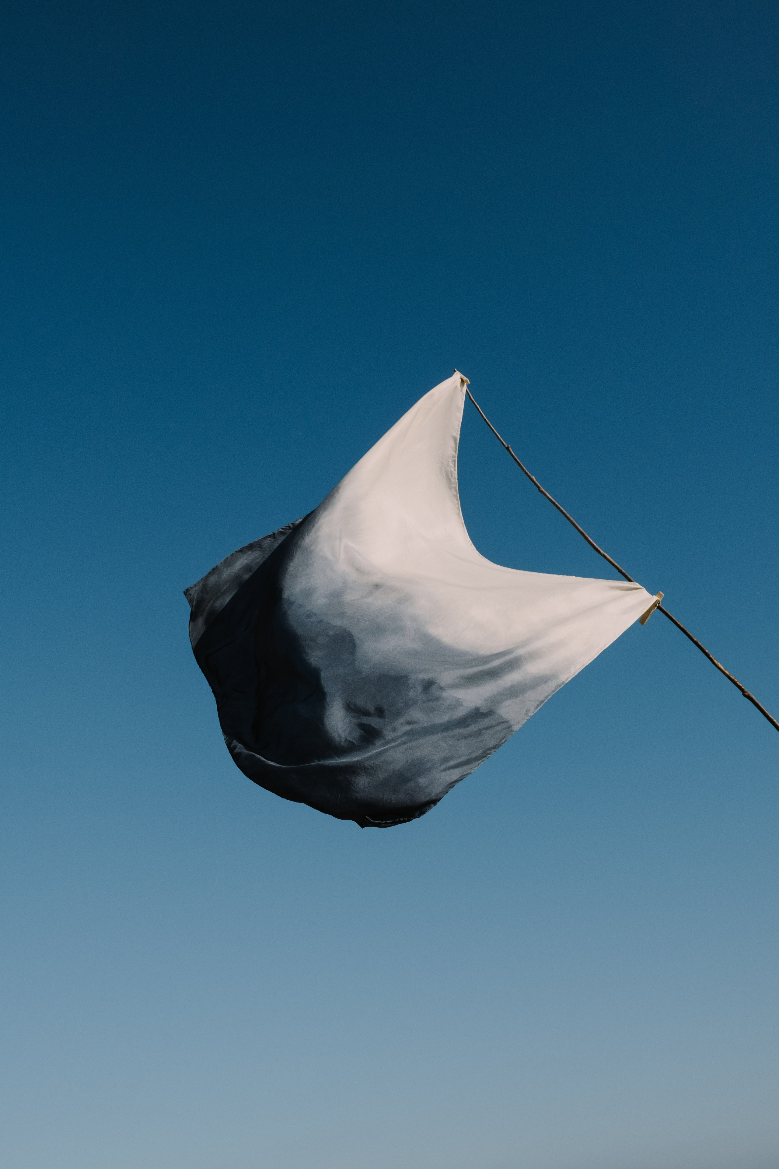 Still life. Elizaveta Khlebnikova Photographer