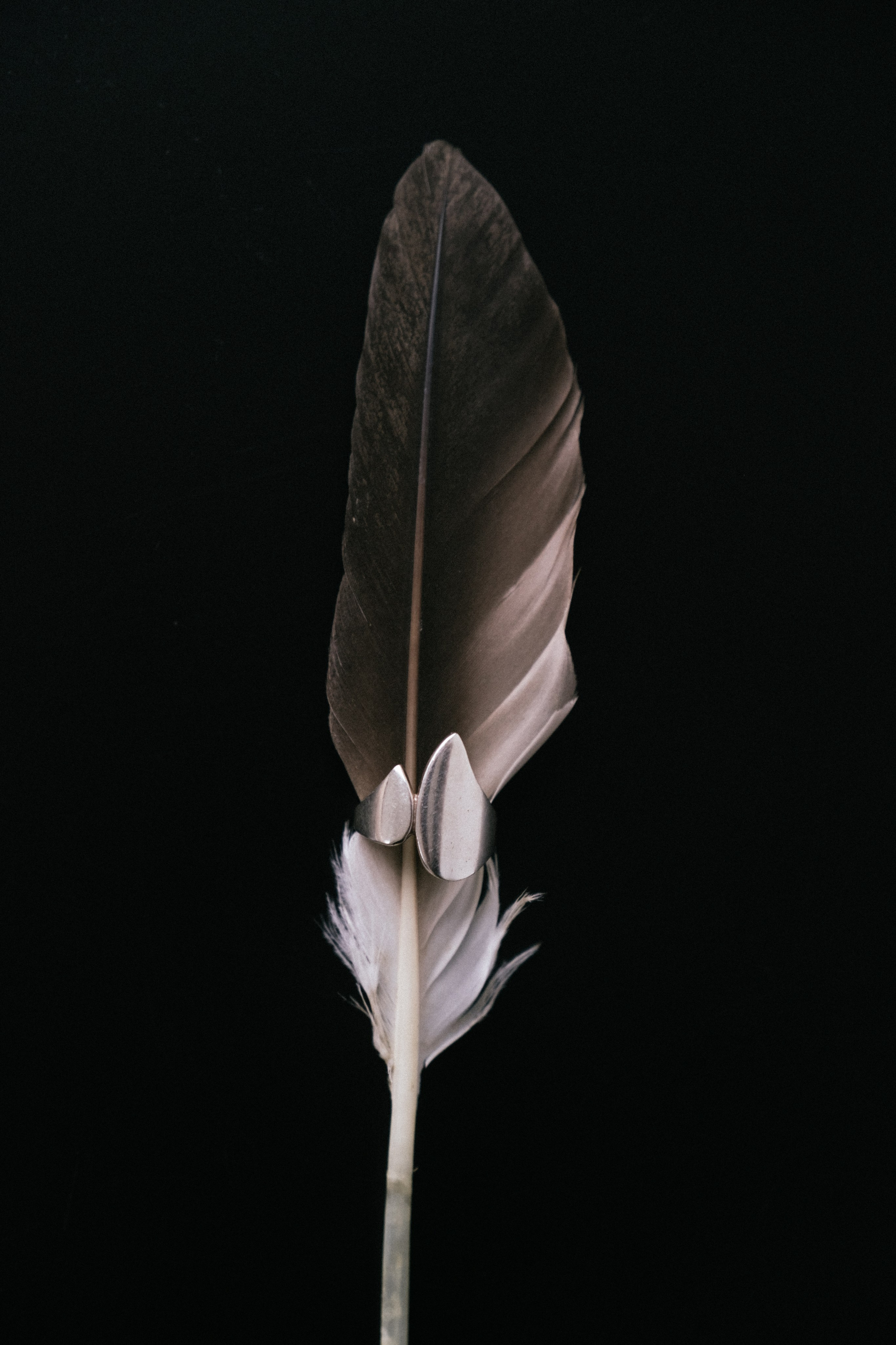 Still life. Elizaveta Khlebnikova Photographer