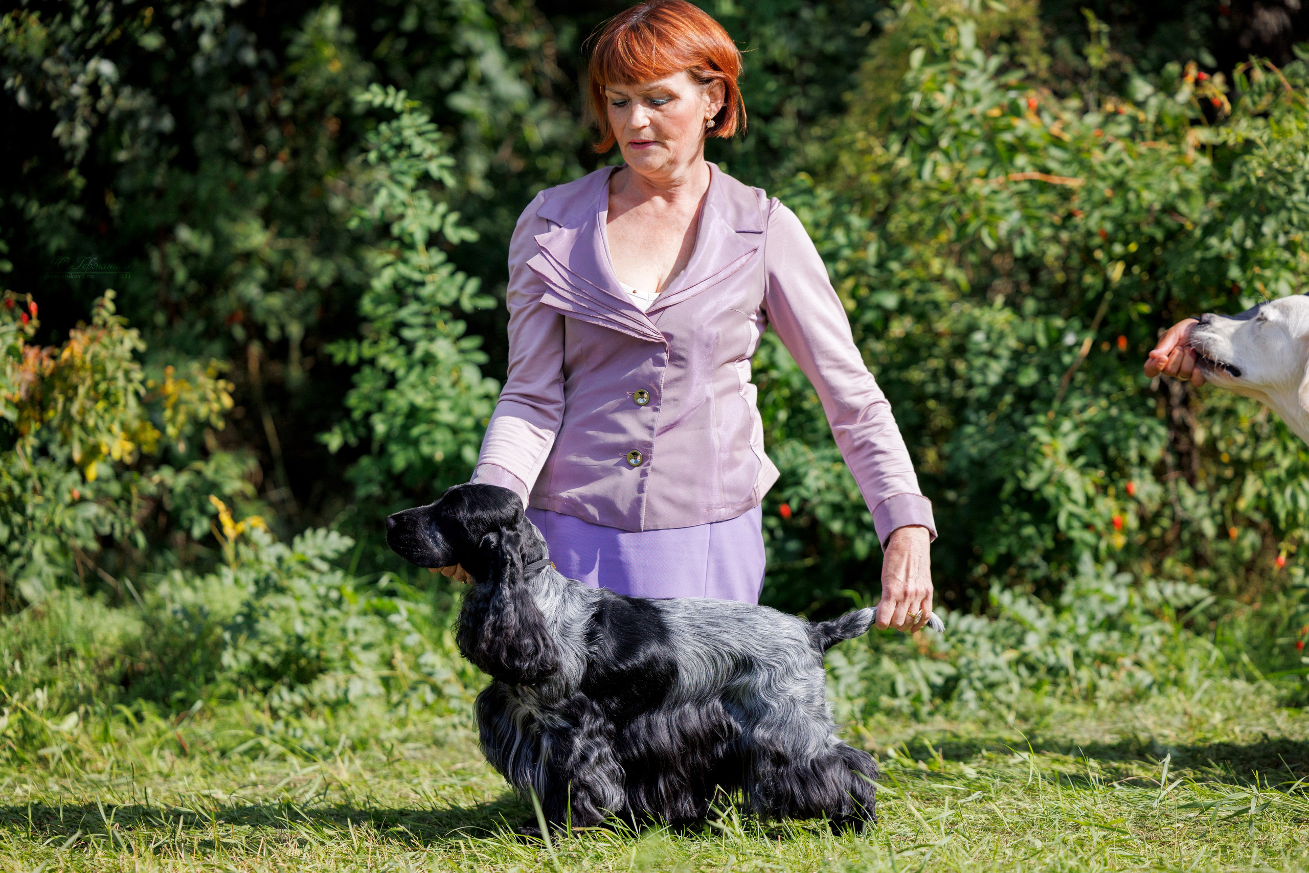 Астана 2хCACIB 17-18.08.2024. Фотограф-анималист Юлия Германика