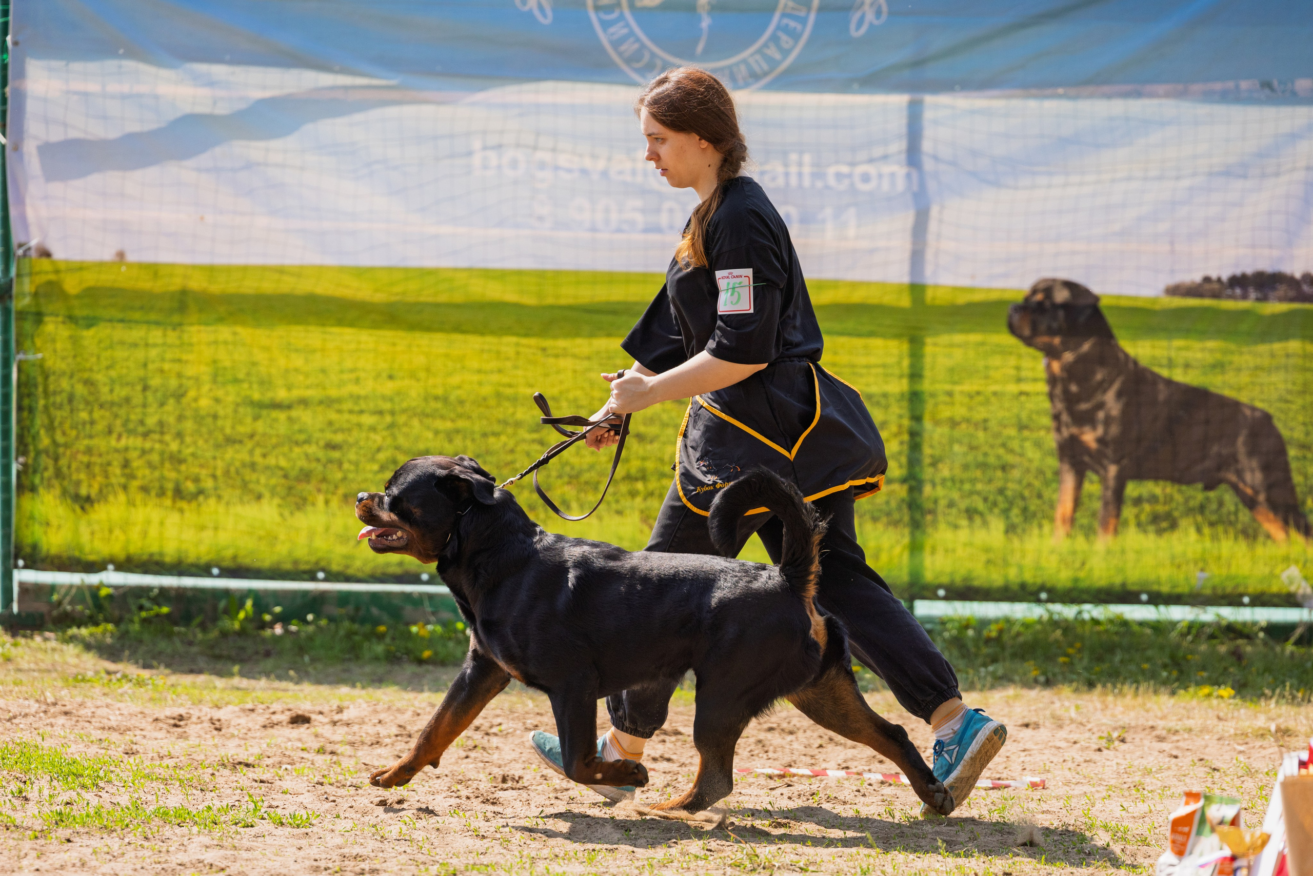 Саратов моно ротвейлеров 26-27.04.2025. Фотограф-анималист Юлия Германика