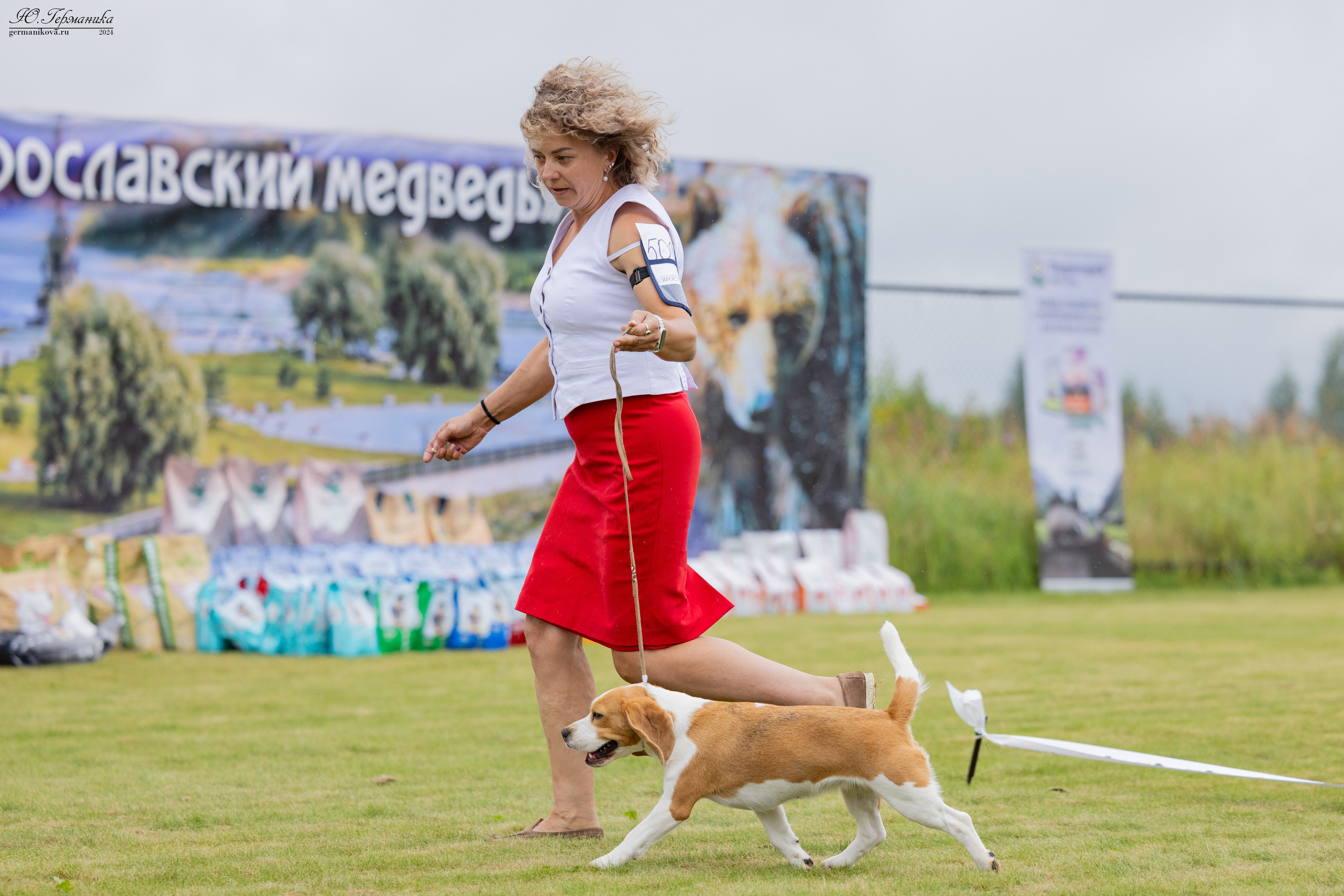 Ярославль 21.07.24 и Балашиха 13.07.24. Фотограф-анималист Юлия Германика