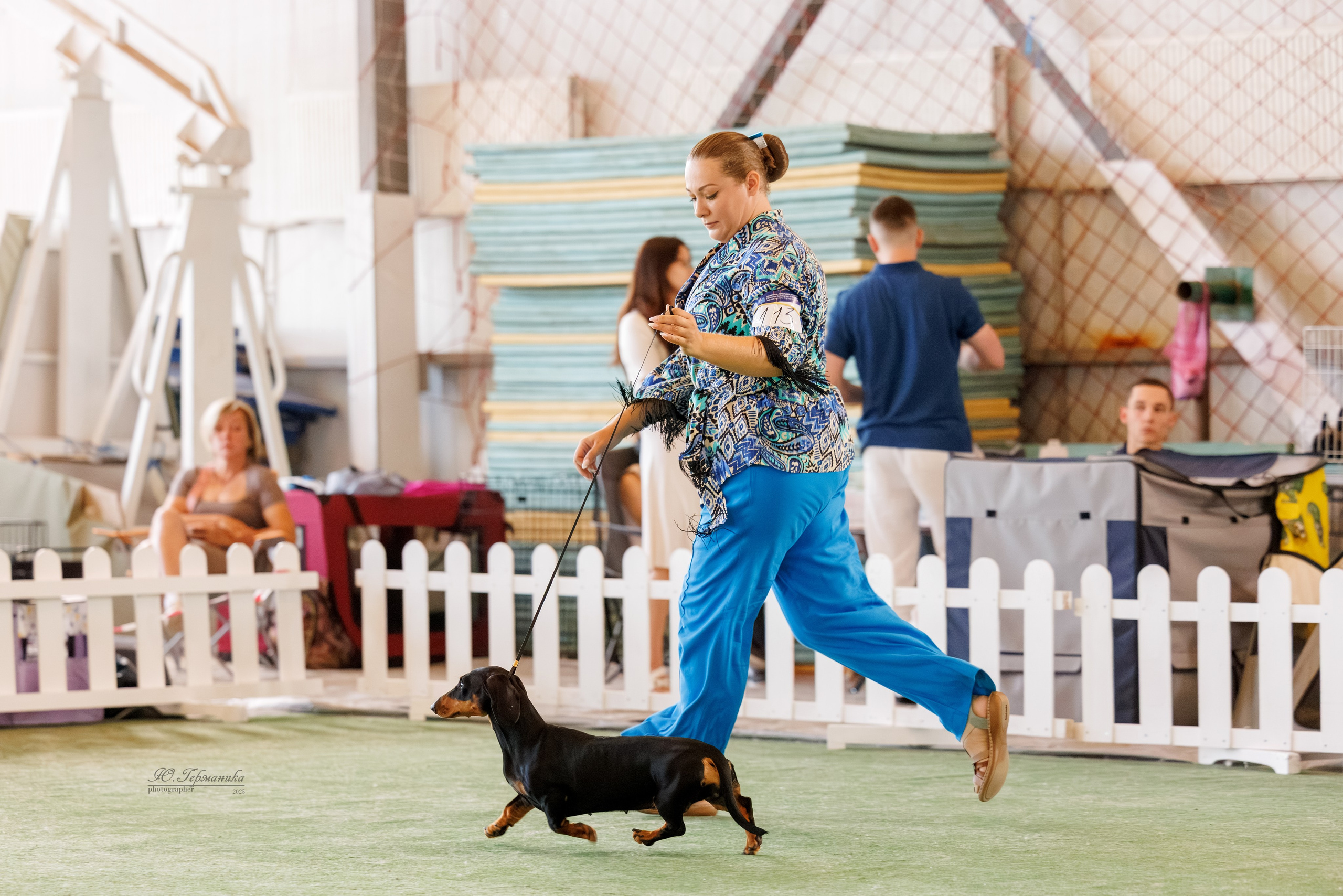 Батуми 3хCACIB 27-29.06.2025. Фотограф-анималист Юлия Германика