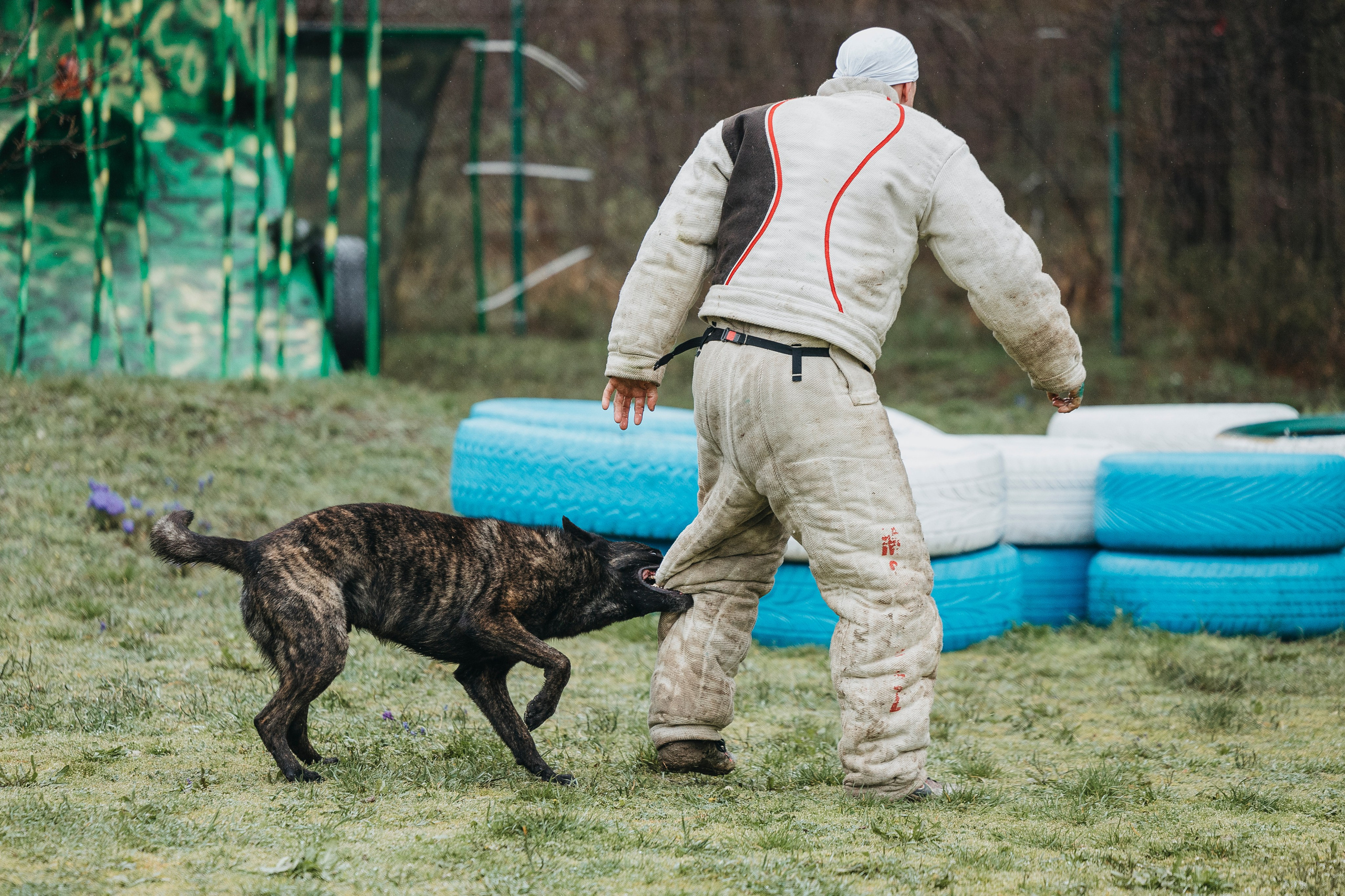 Геленджик Мондьоринг. Фотограф-анималист Анна Маринич