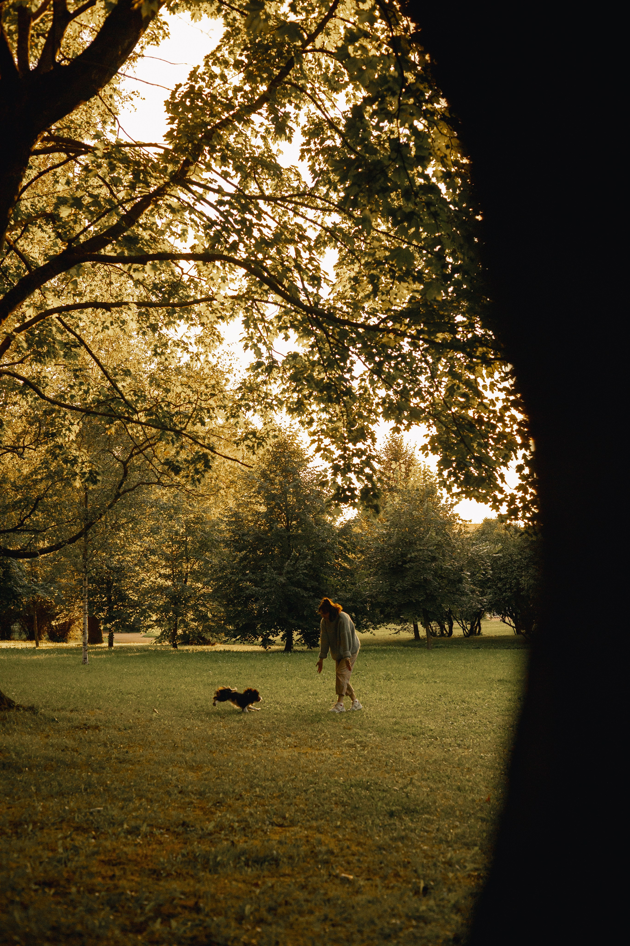 Один день из жизни Стеши и её родных. Фотограф — анималист •love-story•|Санкт-Петербург