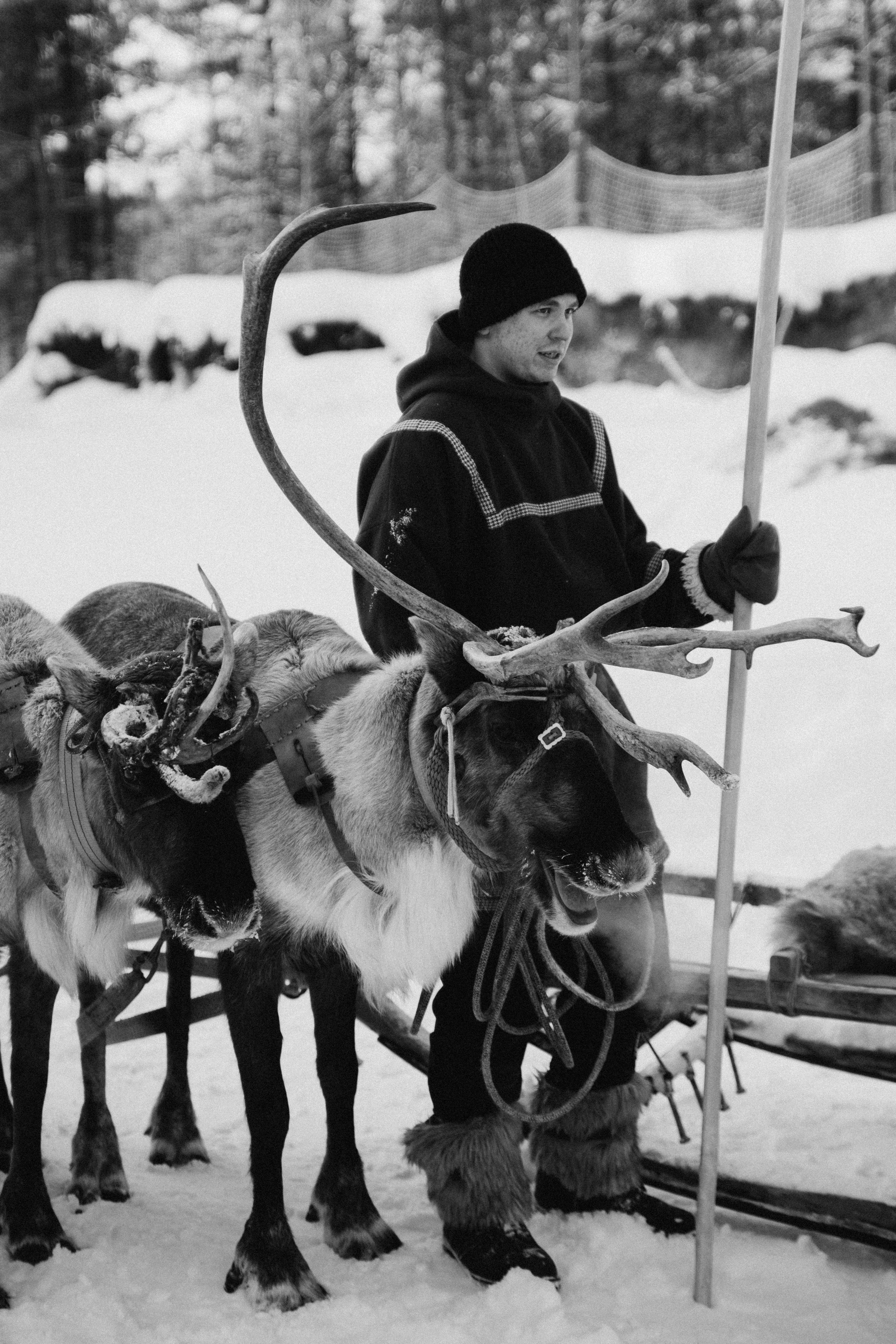 Териберка 2025. Репортажный и детский фотограф в Минске