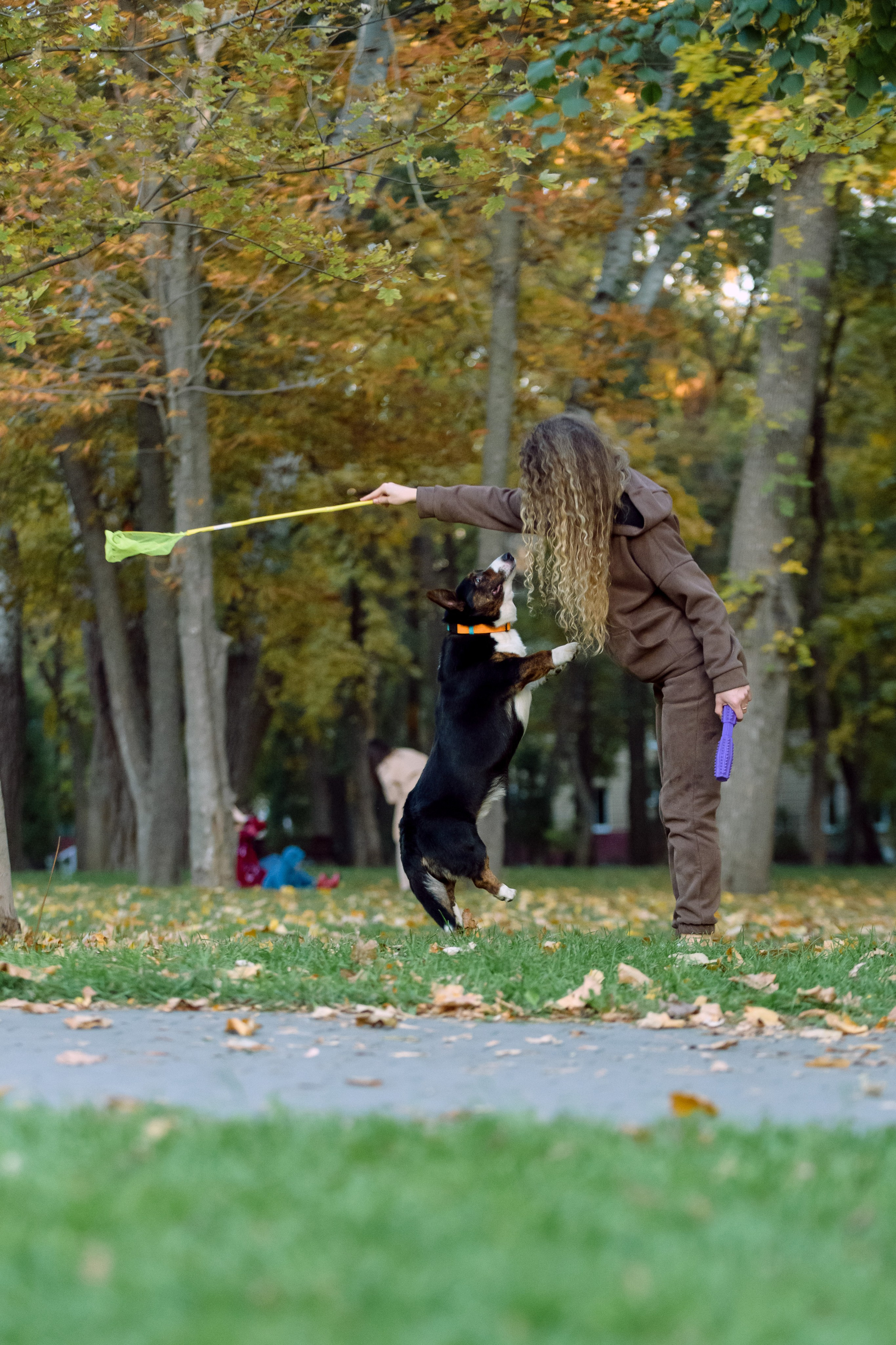 Оля и Ваня с собаками. Фотограф в Ростове-на-Дону Маркер Елена