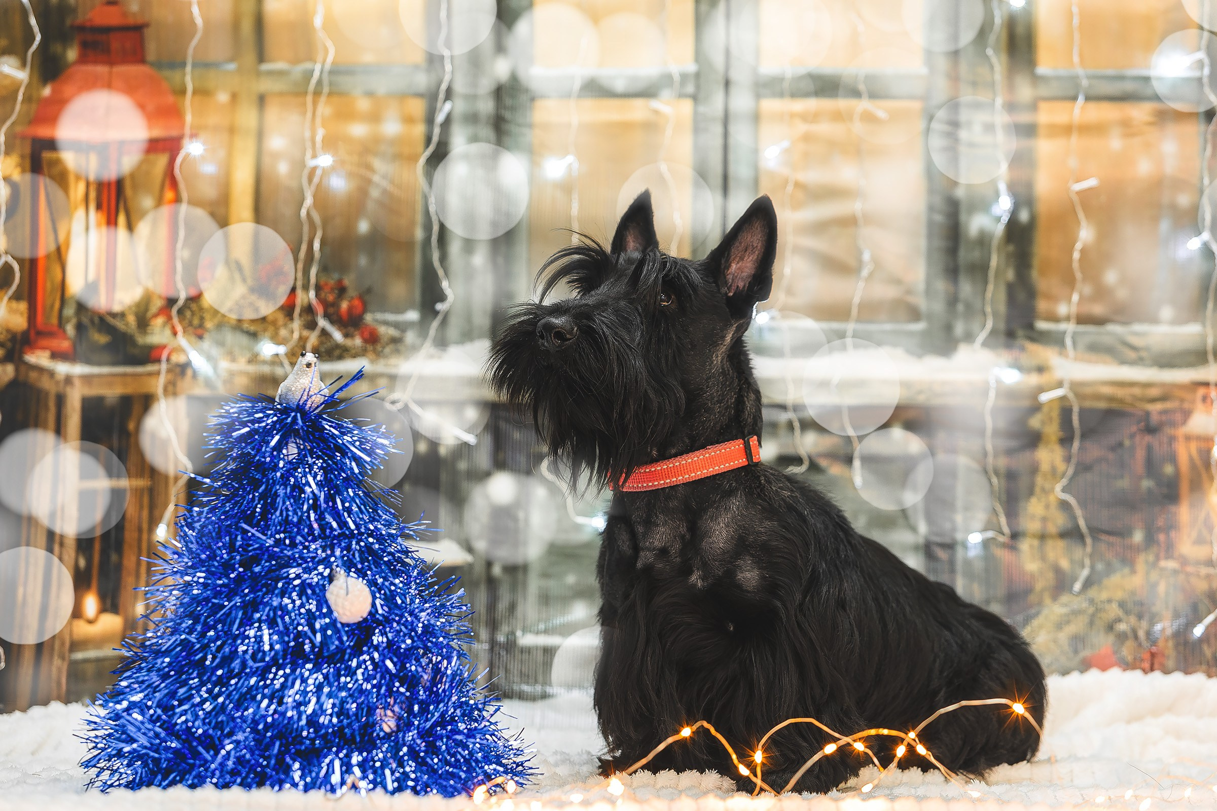 Фотодень. Htykk_photo