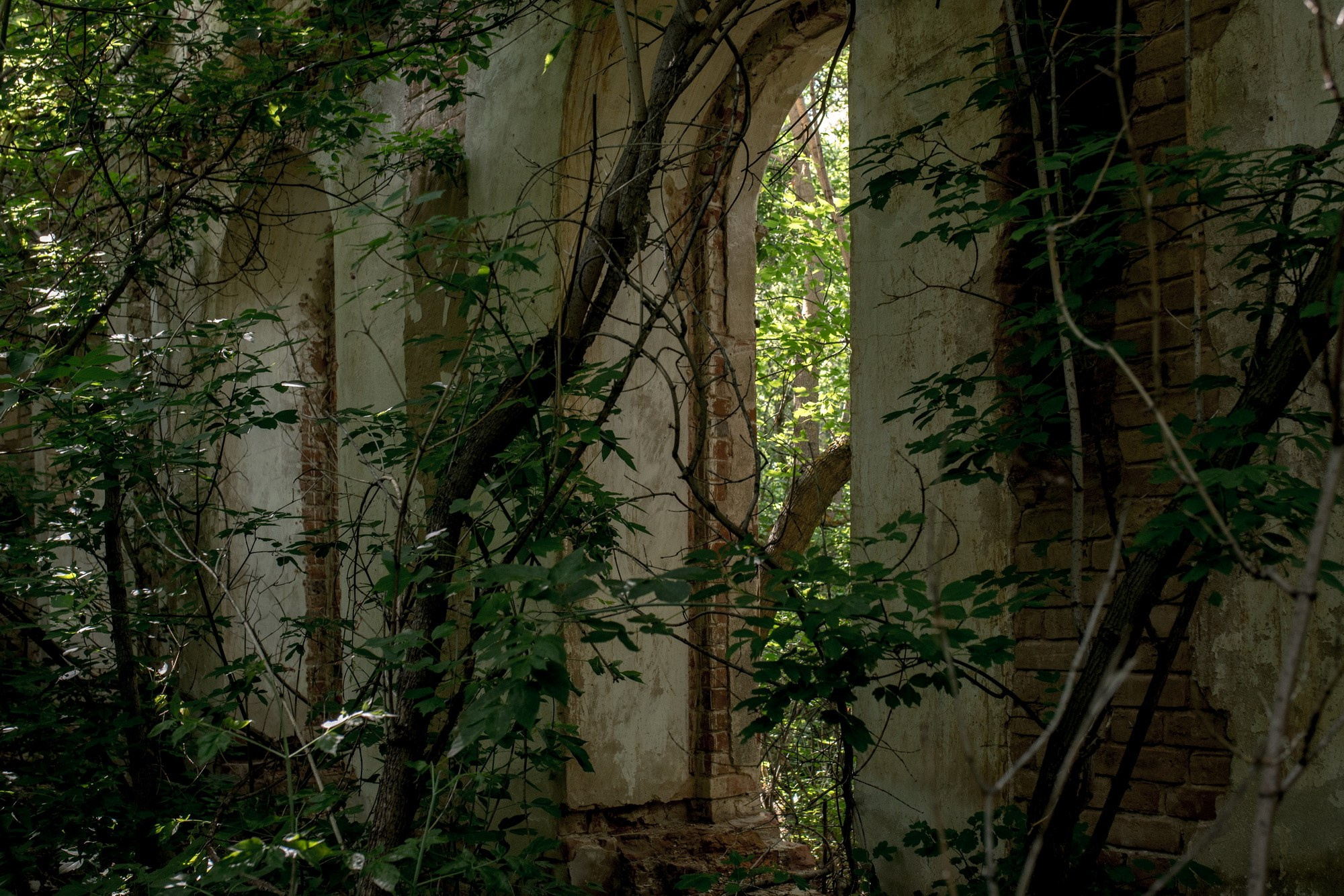 Синдром предков. Наталия Шульгина — визуальный художник, фотограф