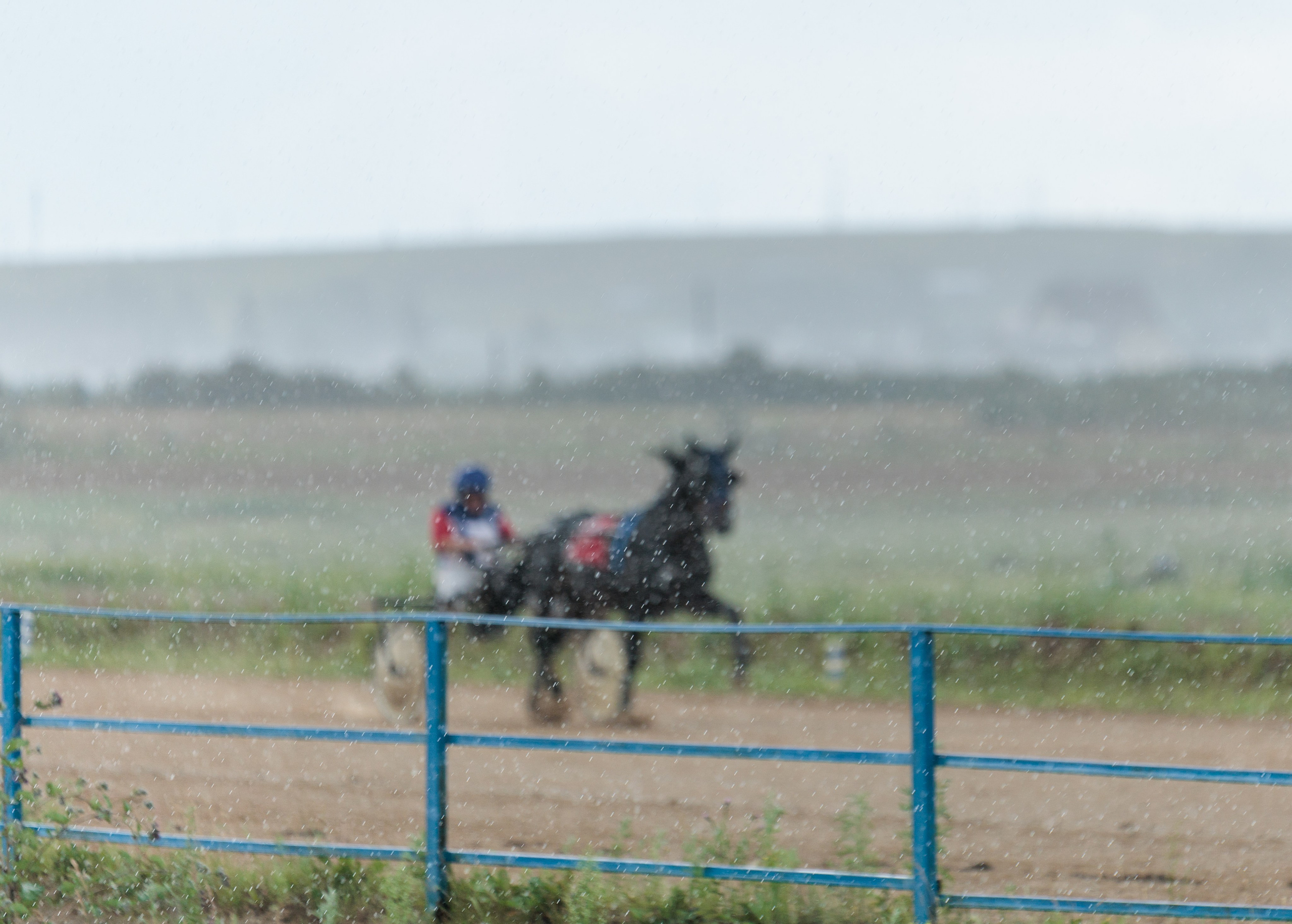 2025. Конный фотограф в Красноярске — Любовь Похабова