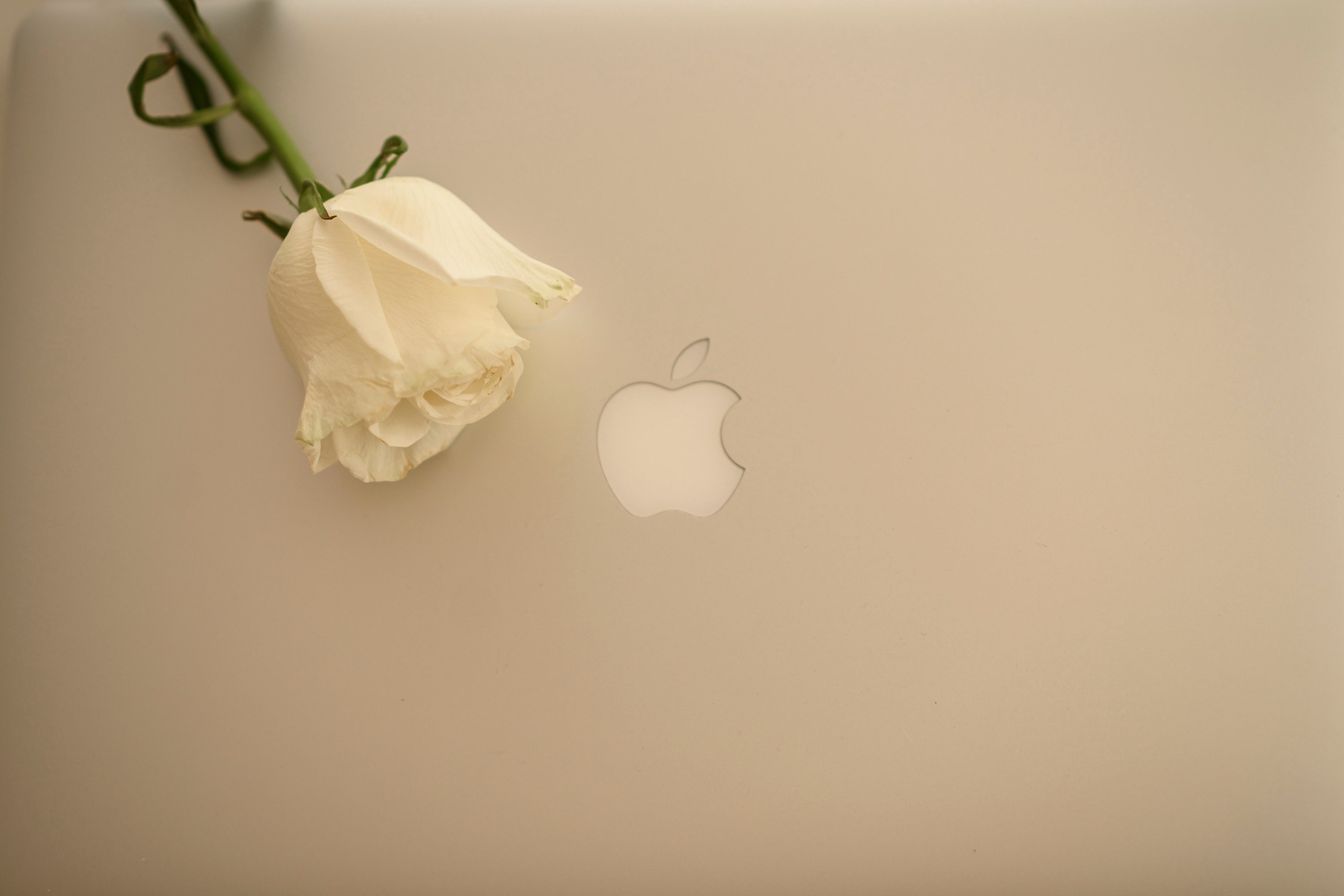 Контент психолог. Семейный фотограф Екатеринбург Лора Мур