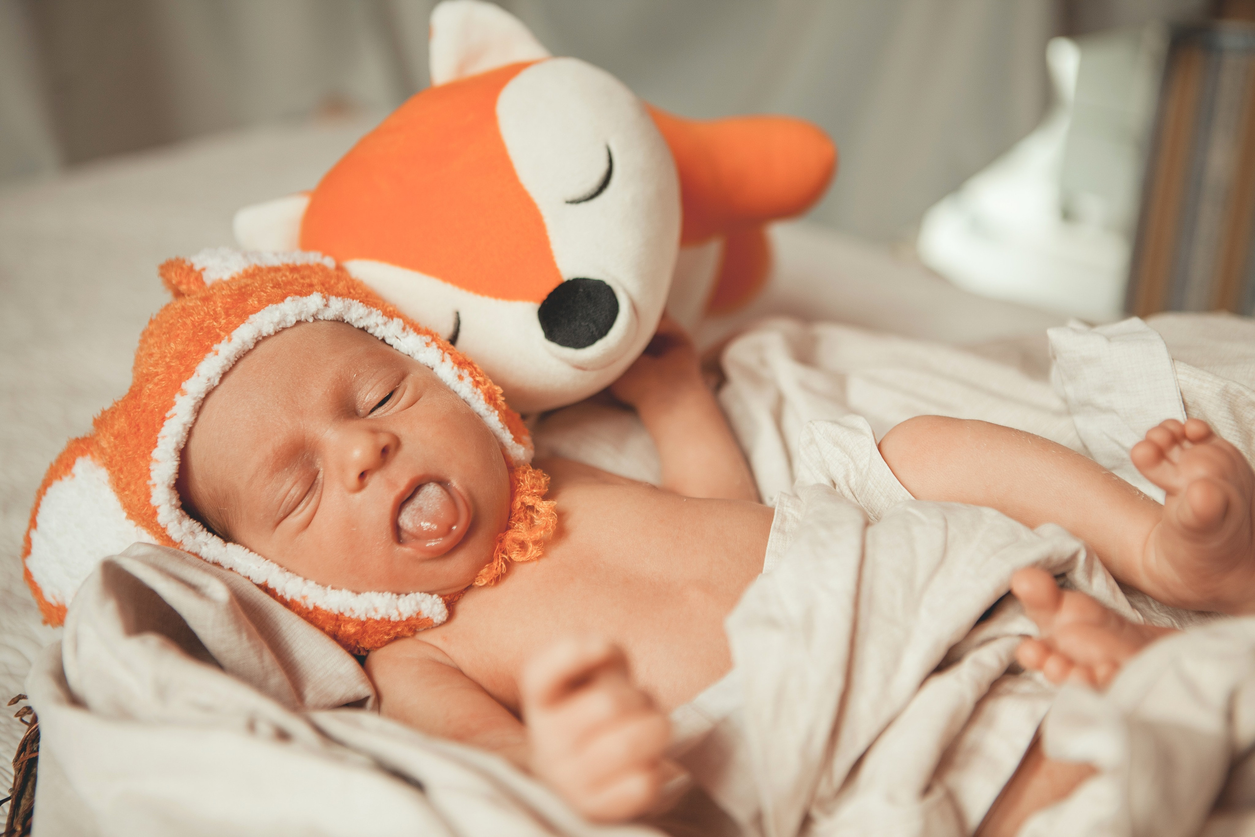 Гордей. Фотограф Ольга Ефремова