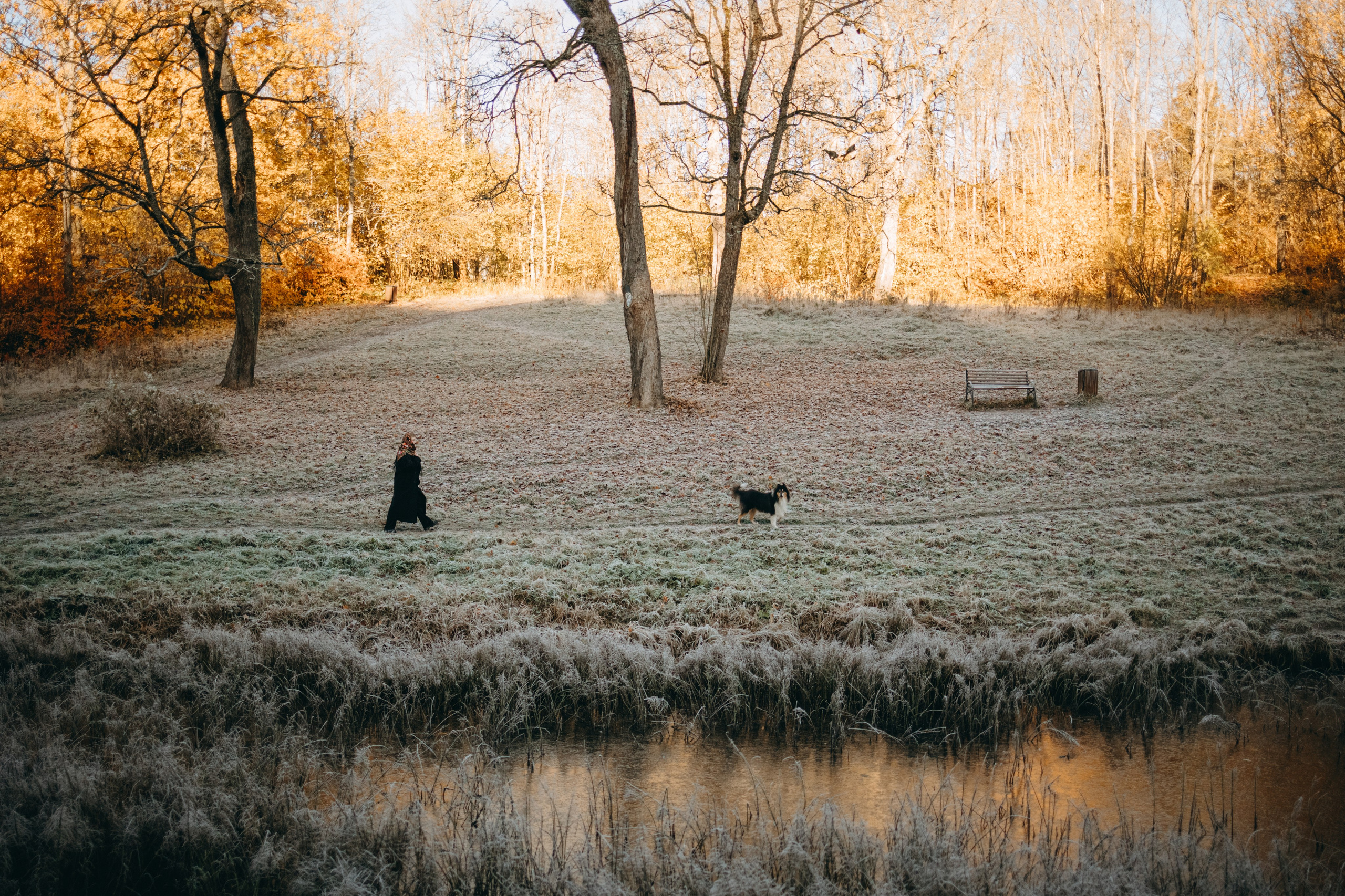 Ия и Барт. Фотограф — Анималист | Санкт-Петербург