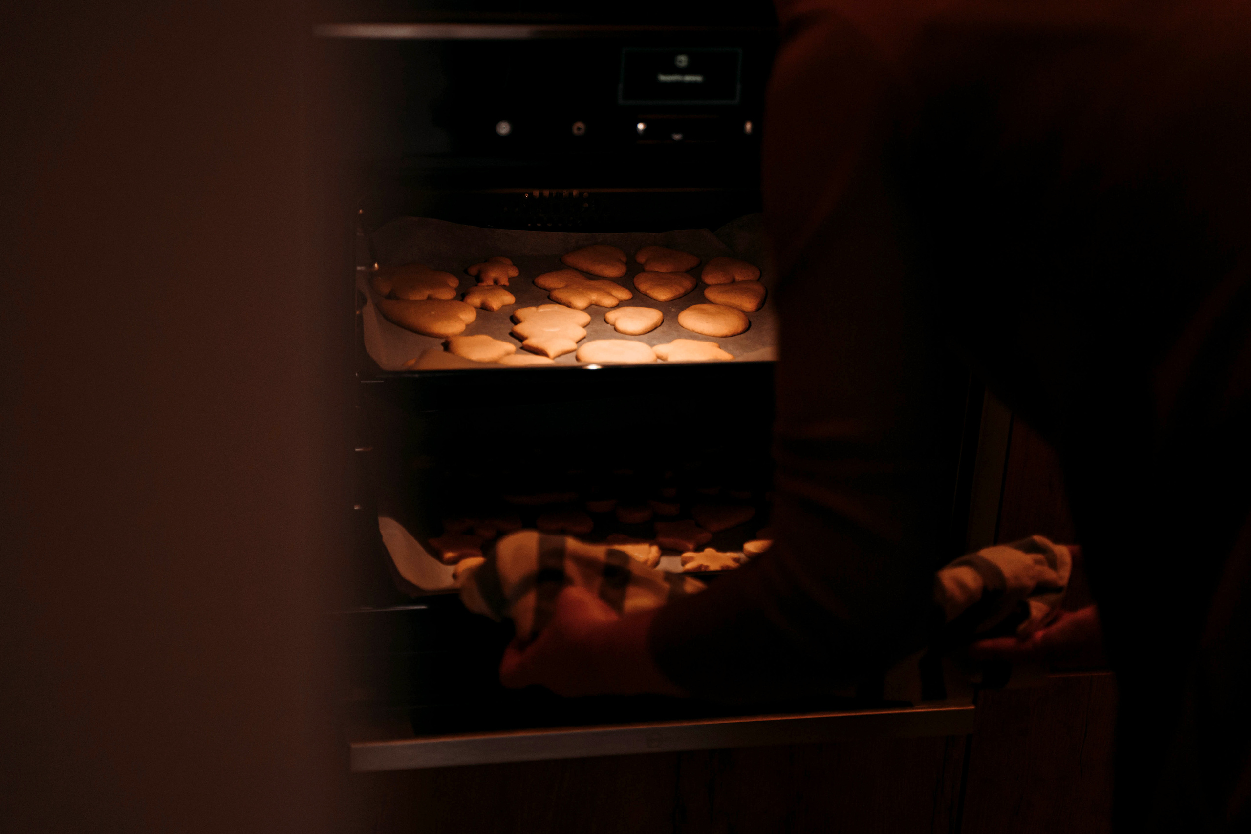 Имбирное печенье. Детский и семейный фотограф в Москве Алёна Шестунова