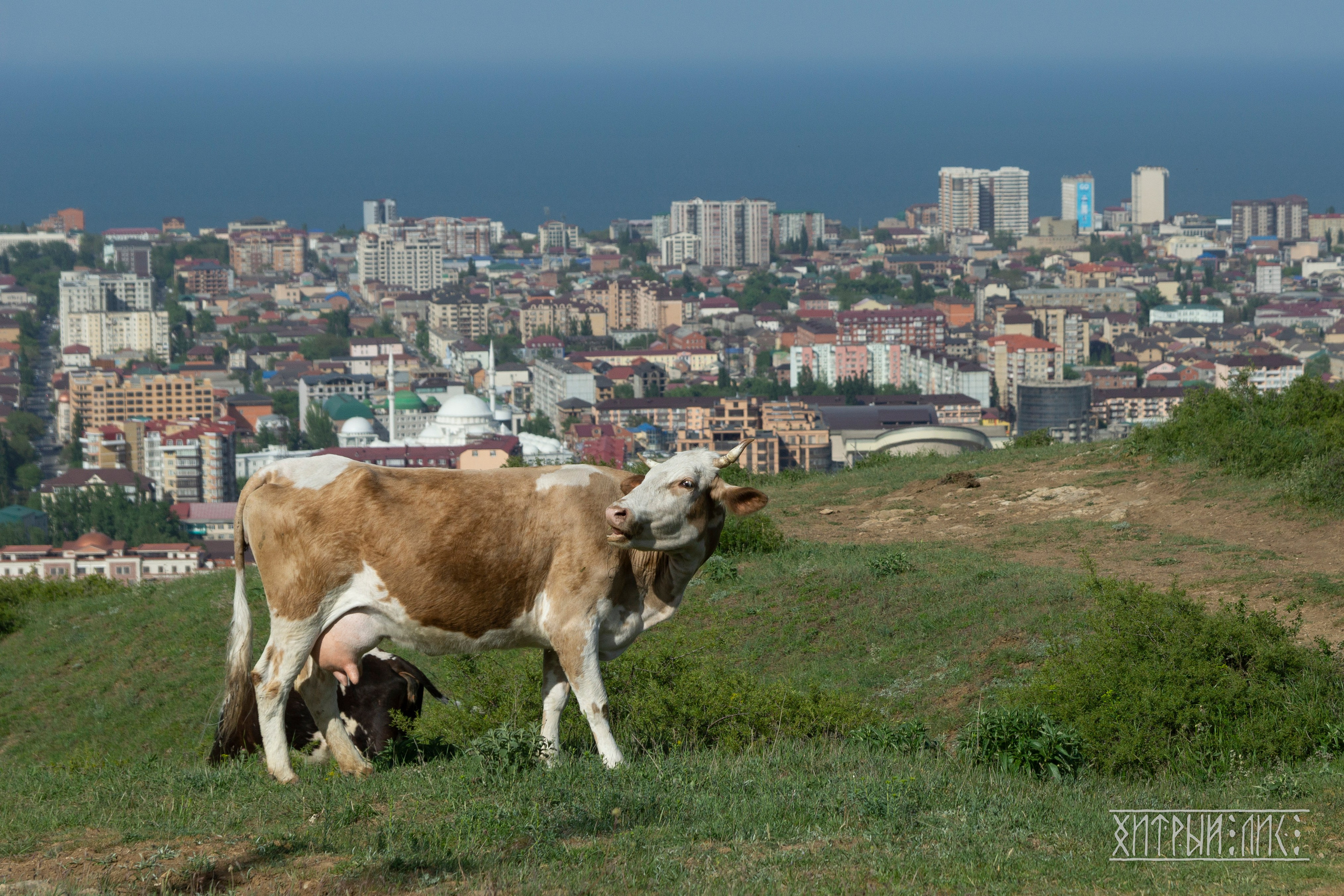 Дагестан. Фотограф-путешественник Самойлов Максим «Sly Fox»