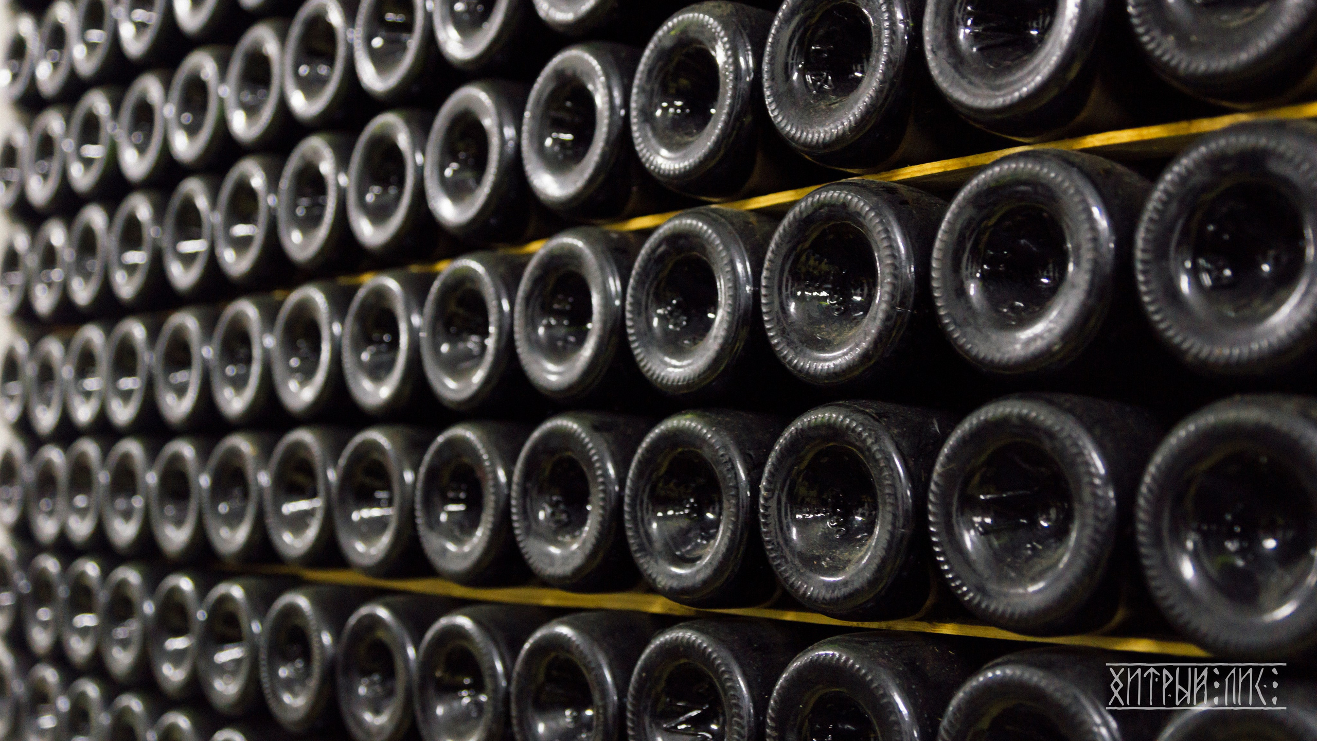 Крым. Фотограф-путешественник Самойлов Максим «Sly Fox»