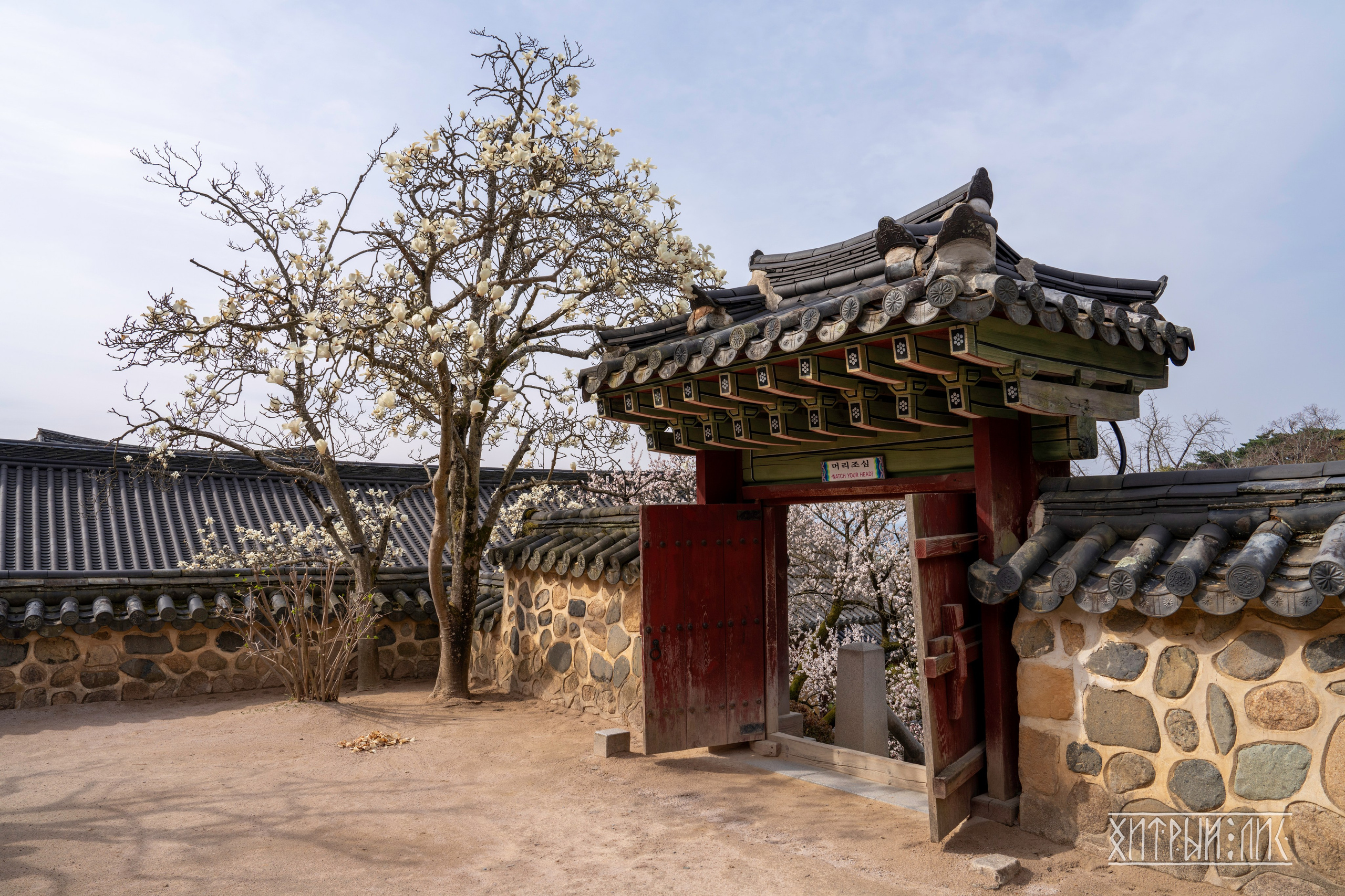 Южная Корея. Фотограф-путешественник Самойлов Максим «Sly Fox»