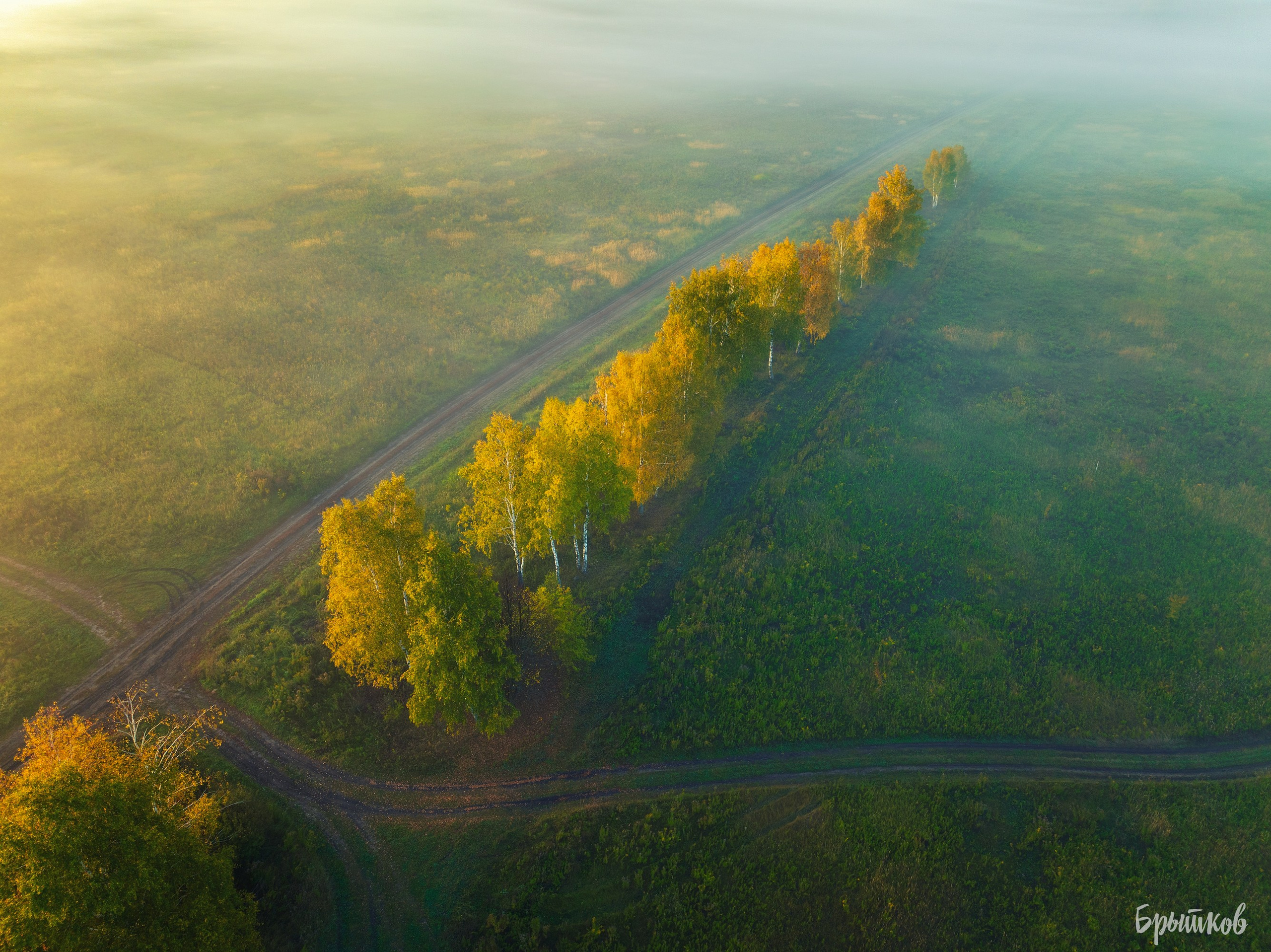 Бежин луг туман Брытков Николай
