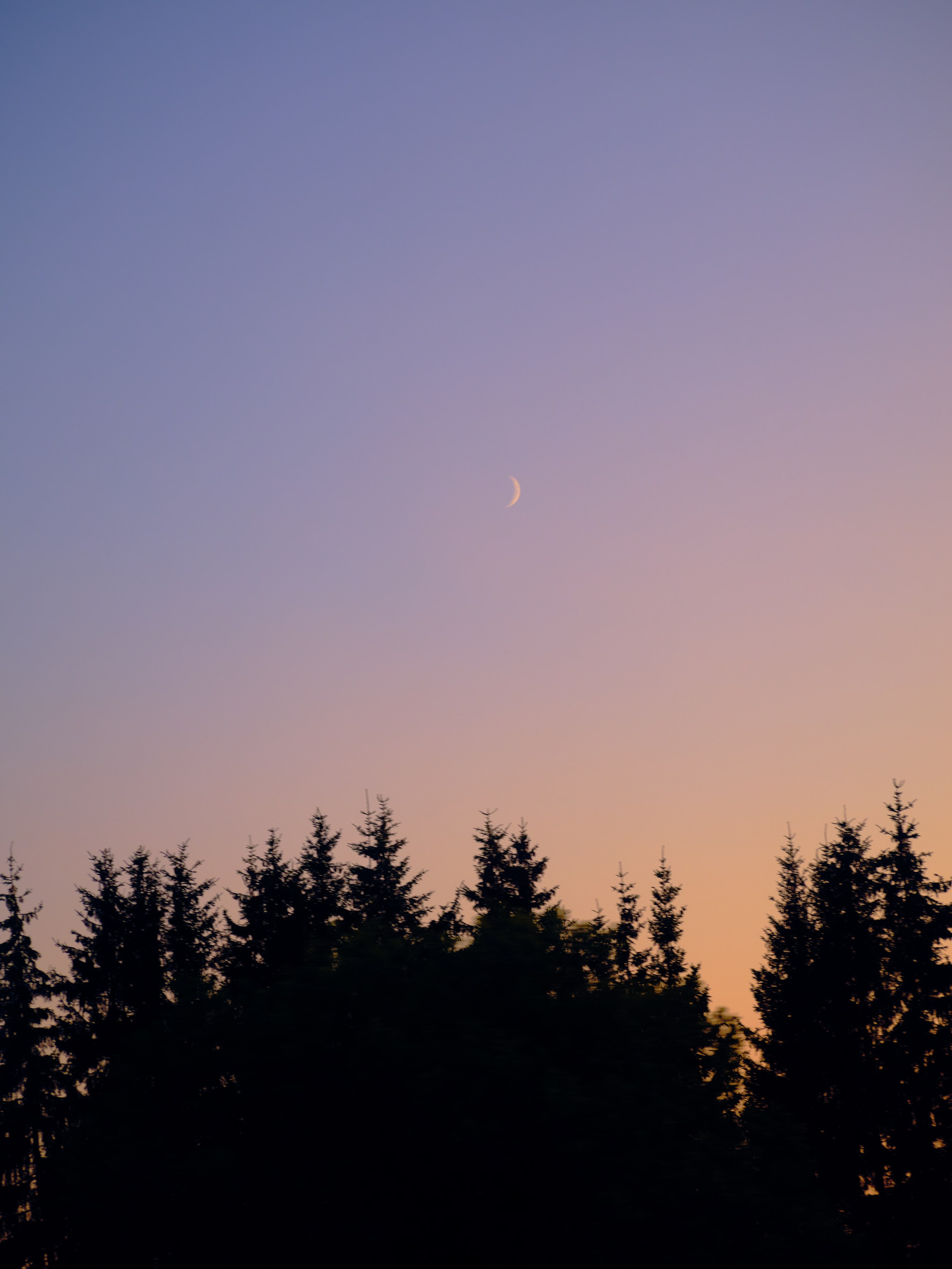 Фотограф Юлия Глазкова