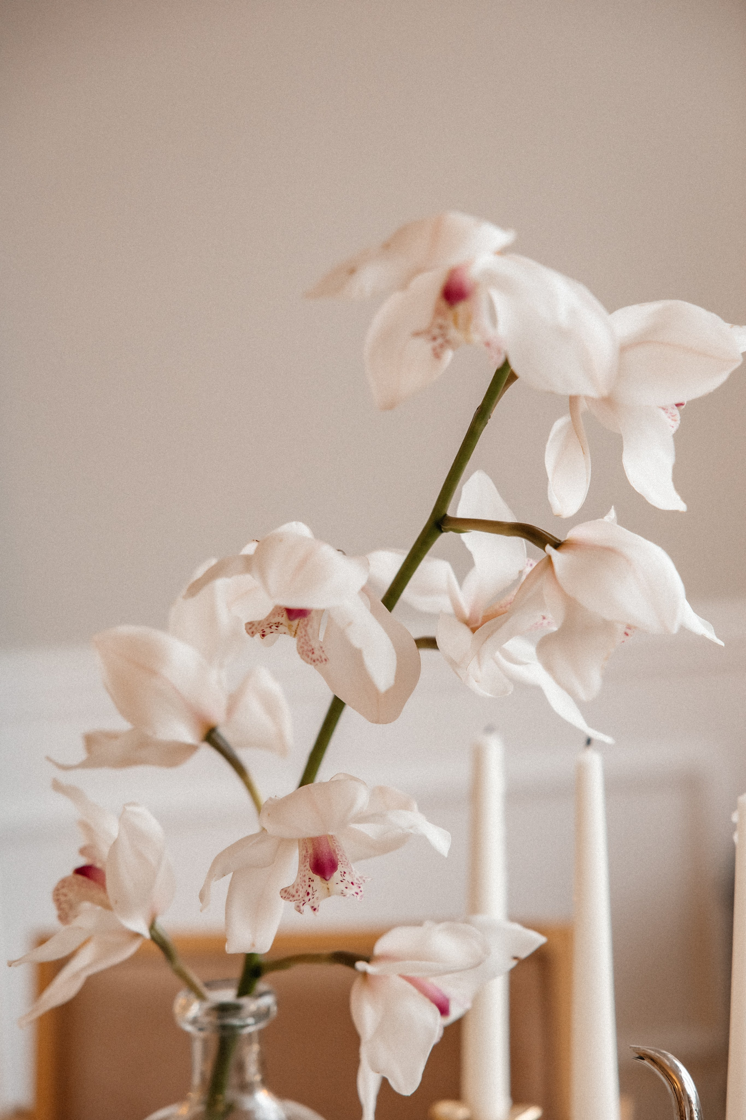 Ира. Светлана Ванцлав — фотограф Минск, Беларусь