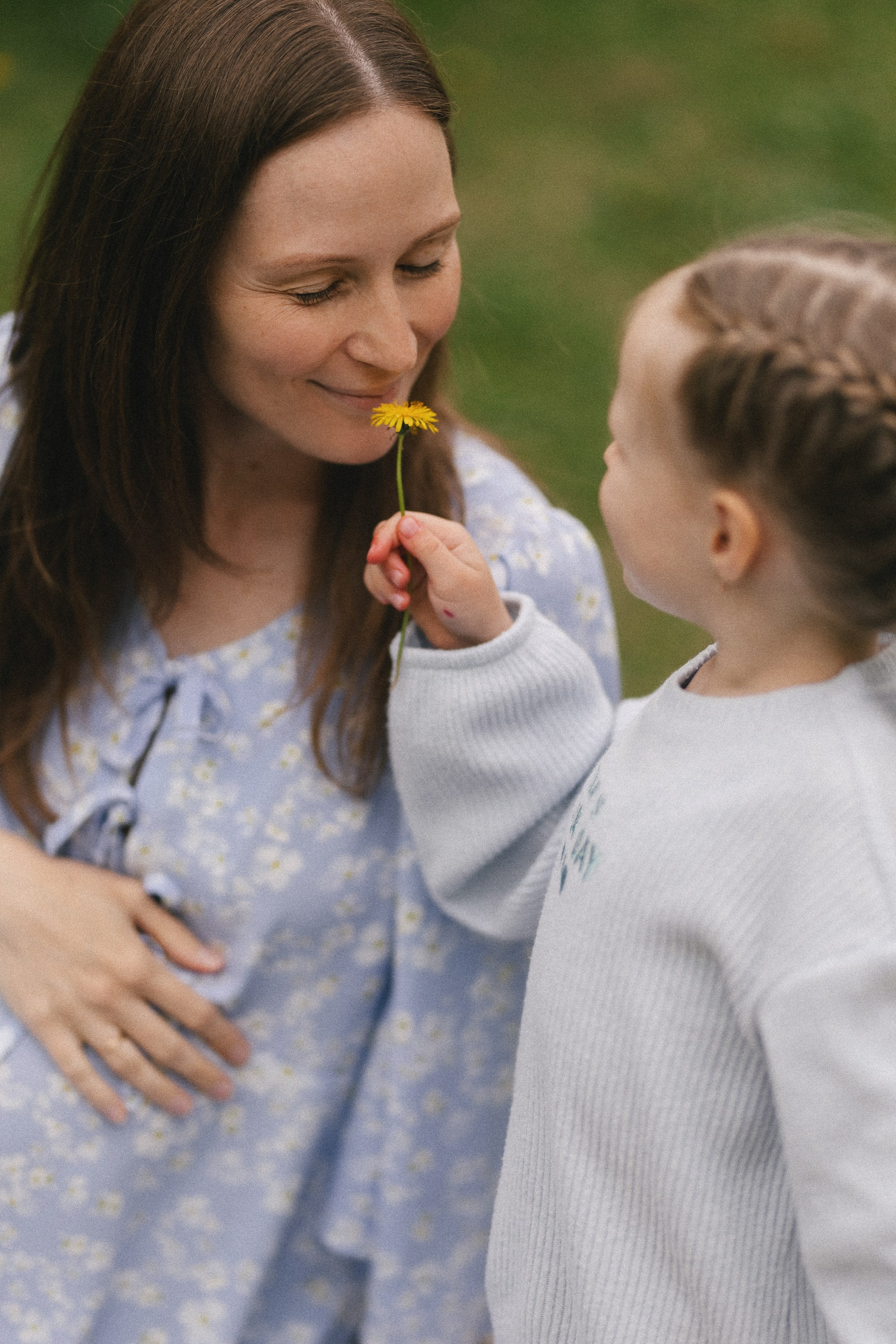 «ОДУВАНЧИКИ И АПЕЛЬСИНЫ». Maria Startseva Photo