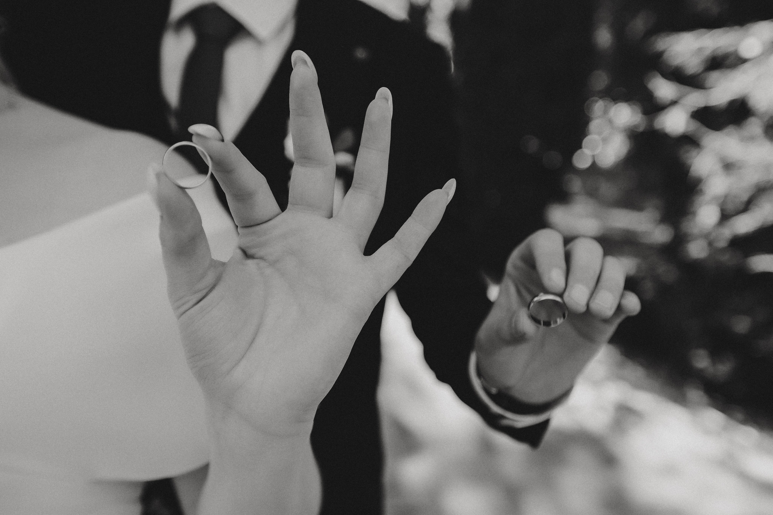 230923. Свадебный и семейный фотограф Светлана Пирюгина