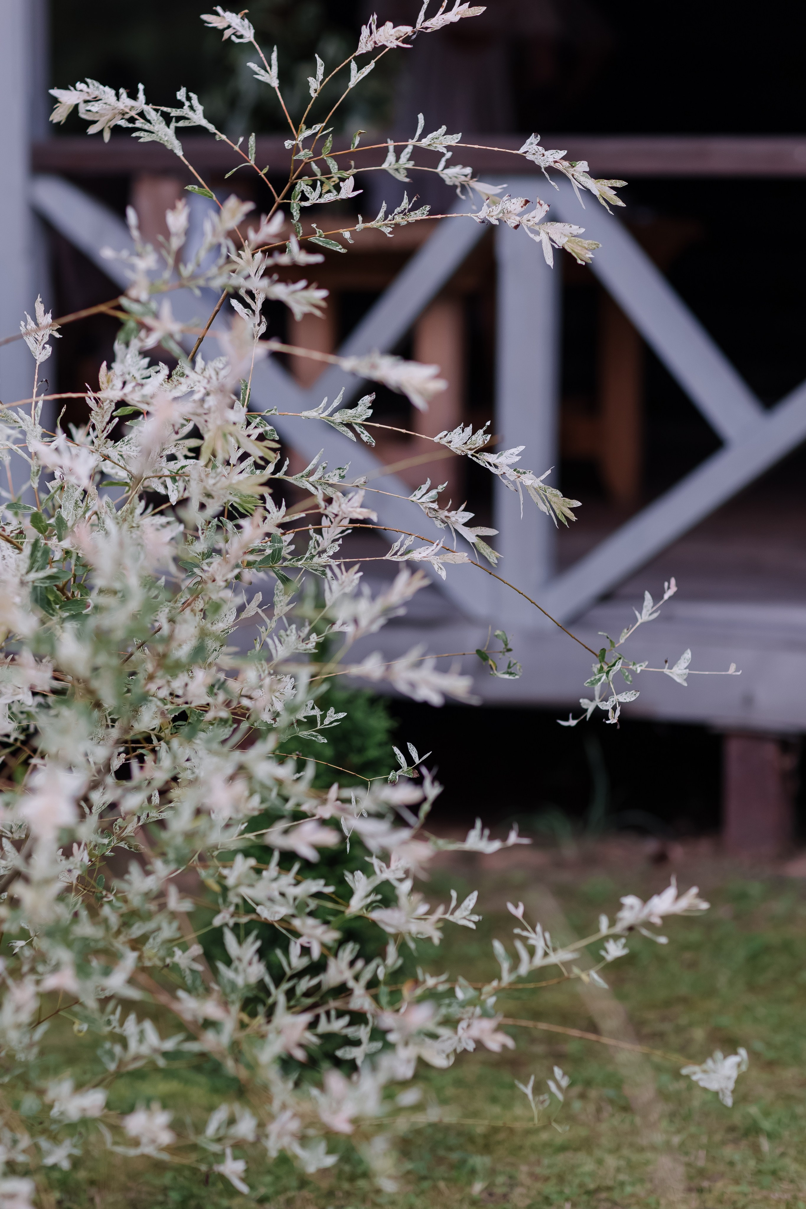 Егор/Арина. Свадебный фотограф