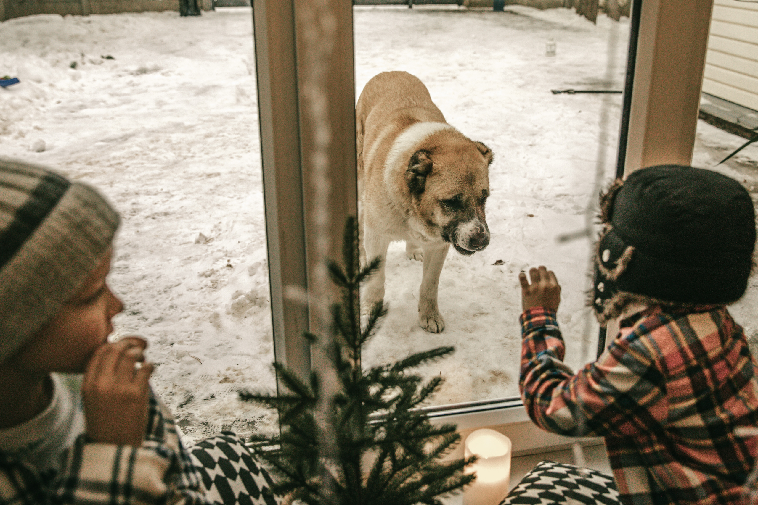 Чук и Гек. Фотоистории в Ставрополе и Костроме Eva Vladi