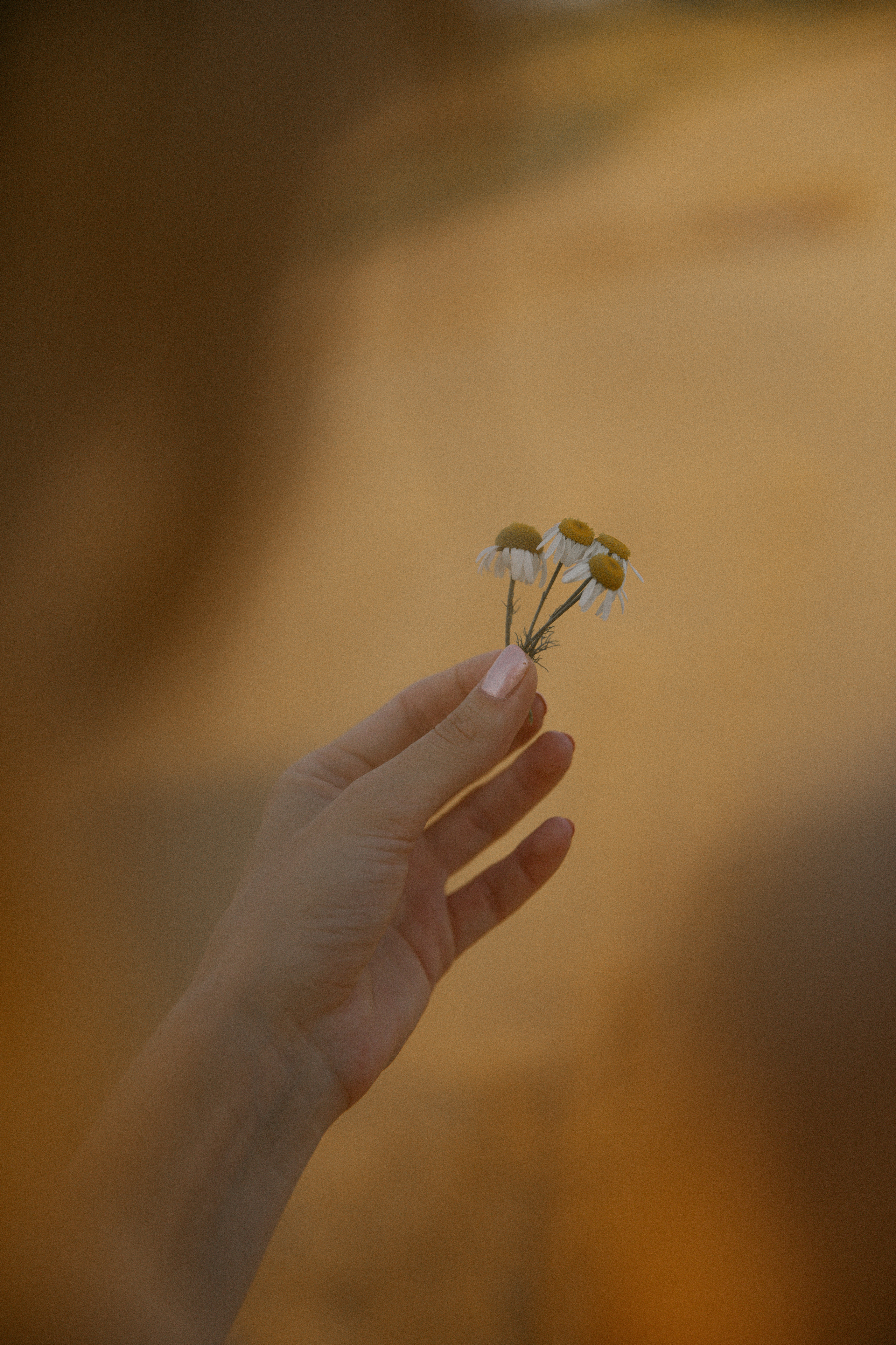 Пойдем гулять?. Фотоистории в Ставрополе и Костроме Eva Vladi