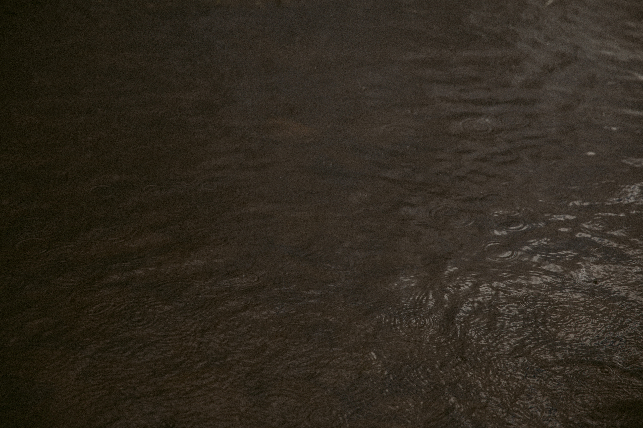 Я чувствую тебя. Фотоистории в Ставрополе и Костроме Eva Vladi