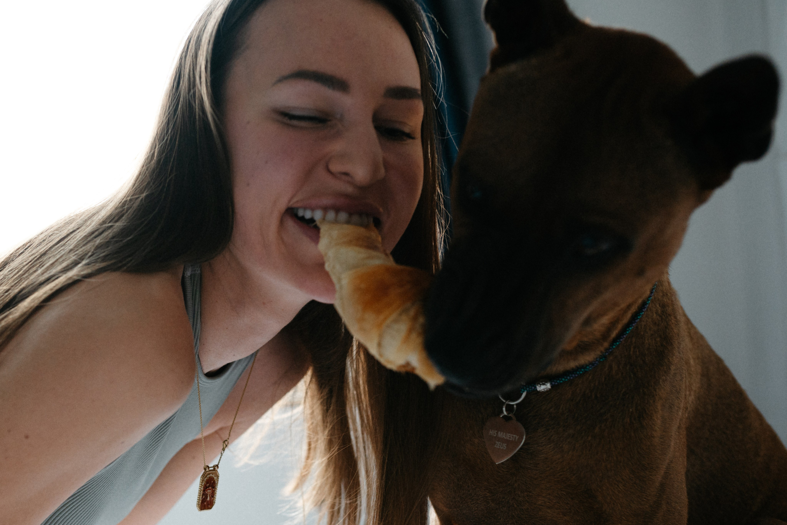 Оксана и Зевс. Фотограф анималист в Москве Ольга Агушева