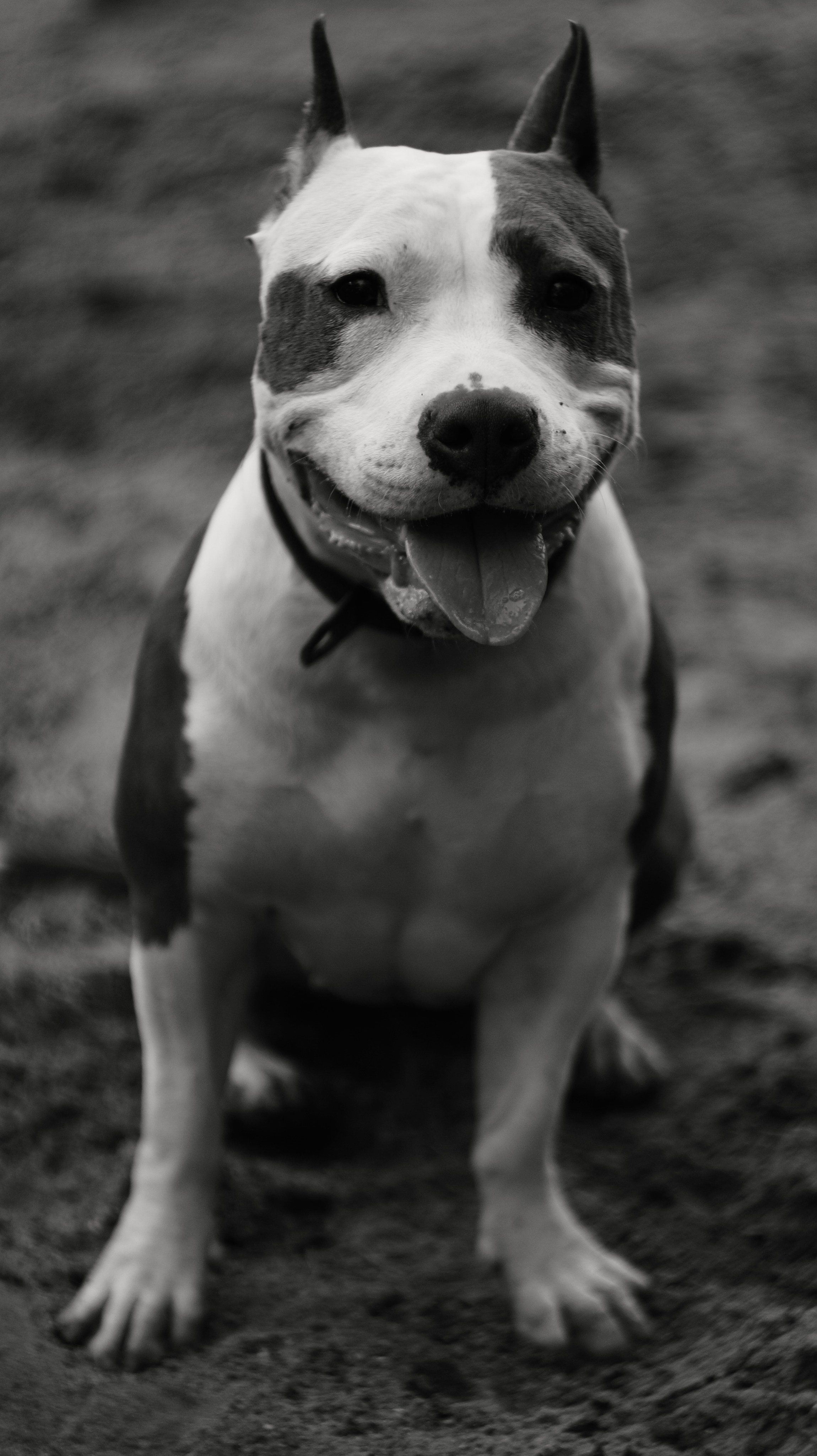 Луна. Профессиональный фотограф