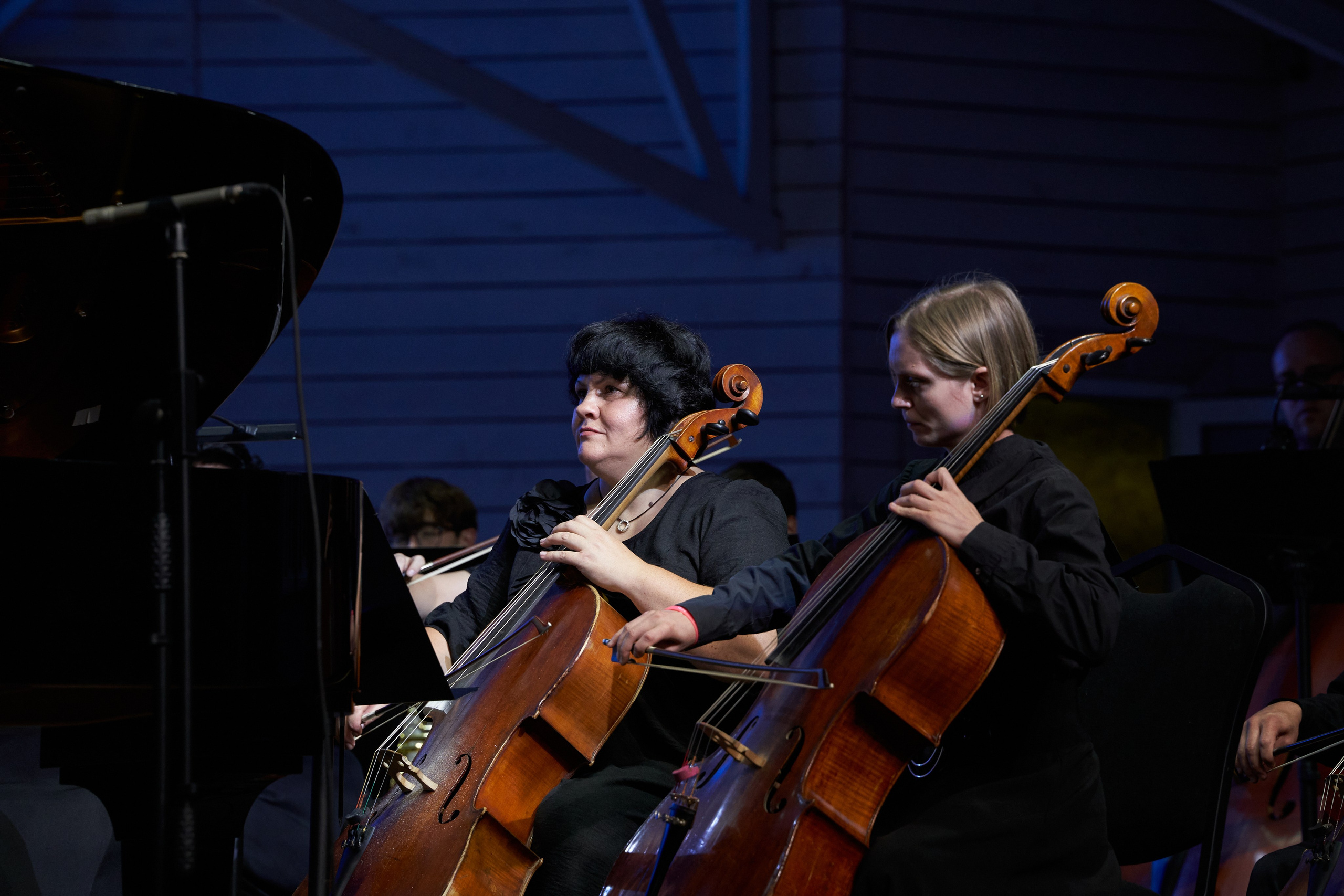 Dominanta в Ивановке. Дарья Погарская