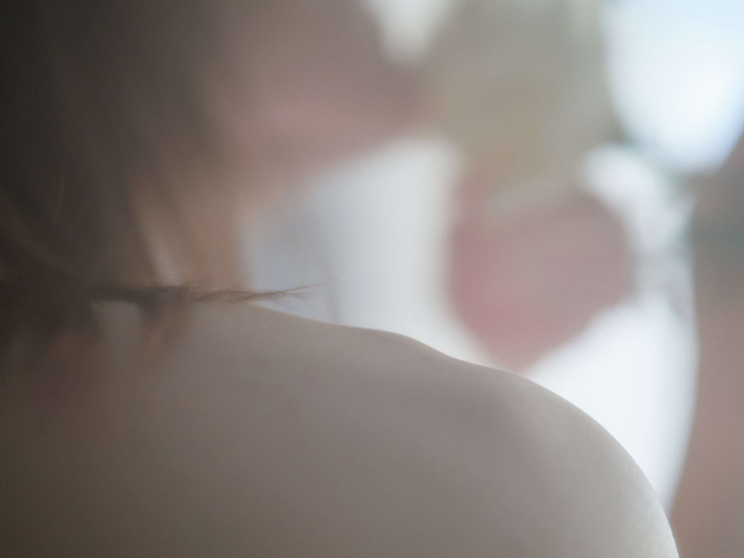 Екатерина. Fine portraits. Никита Данилов