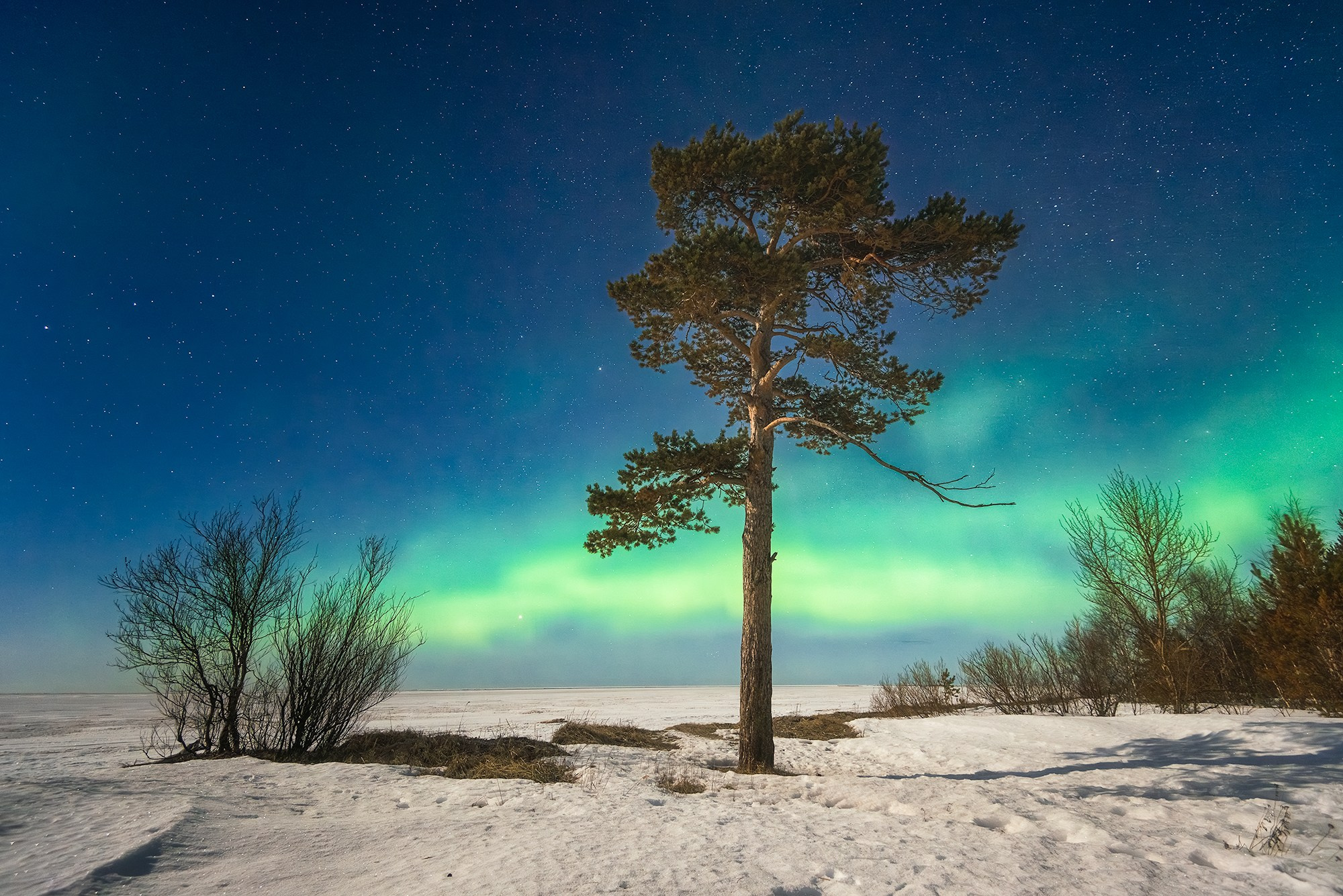 Северное сияние. Аэросъемка в Архангельске, Александр Ермолин