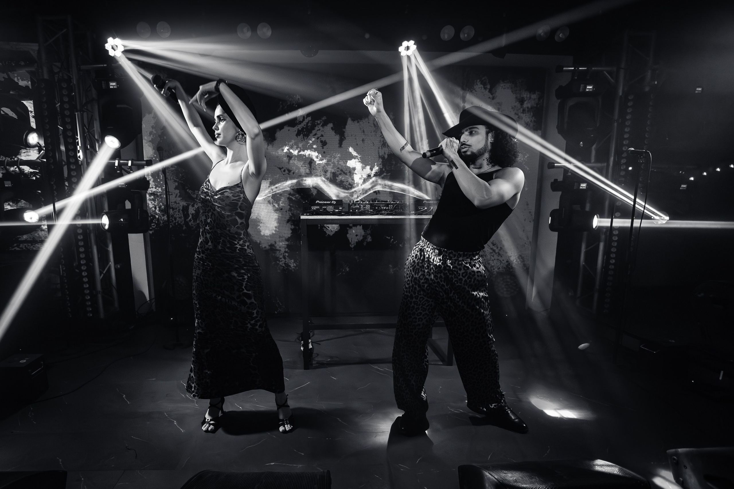 «КРАВЦ"_Чайка на пляже_Ялта_27.08.2025 г. Аминов Руслан | Фотограф